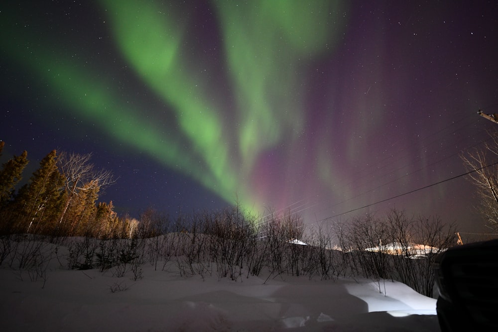 a green and purple aurora bore in the night sky