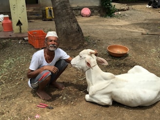 A compassionate volunteer handing over a cow to a grateful farmer in a rural village setting.