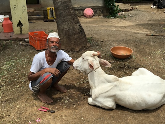 A compassionate volunteer handing over a cow to a grateful farmer in a rural village setting.