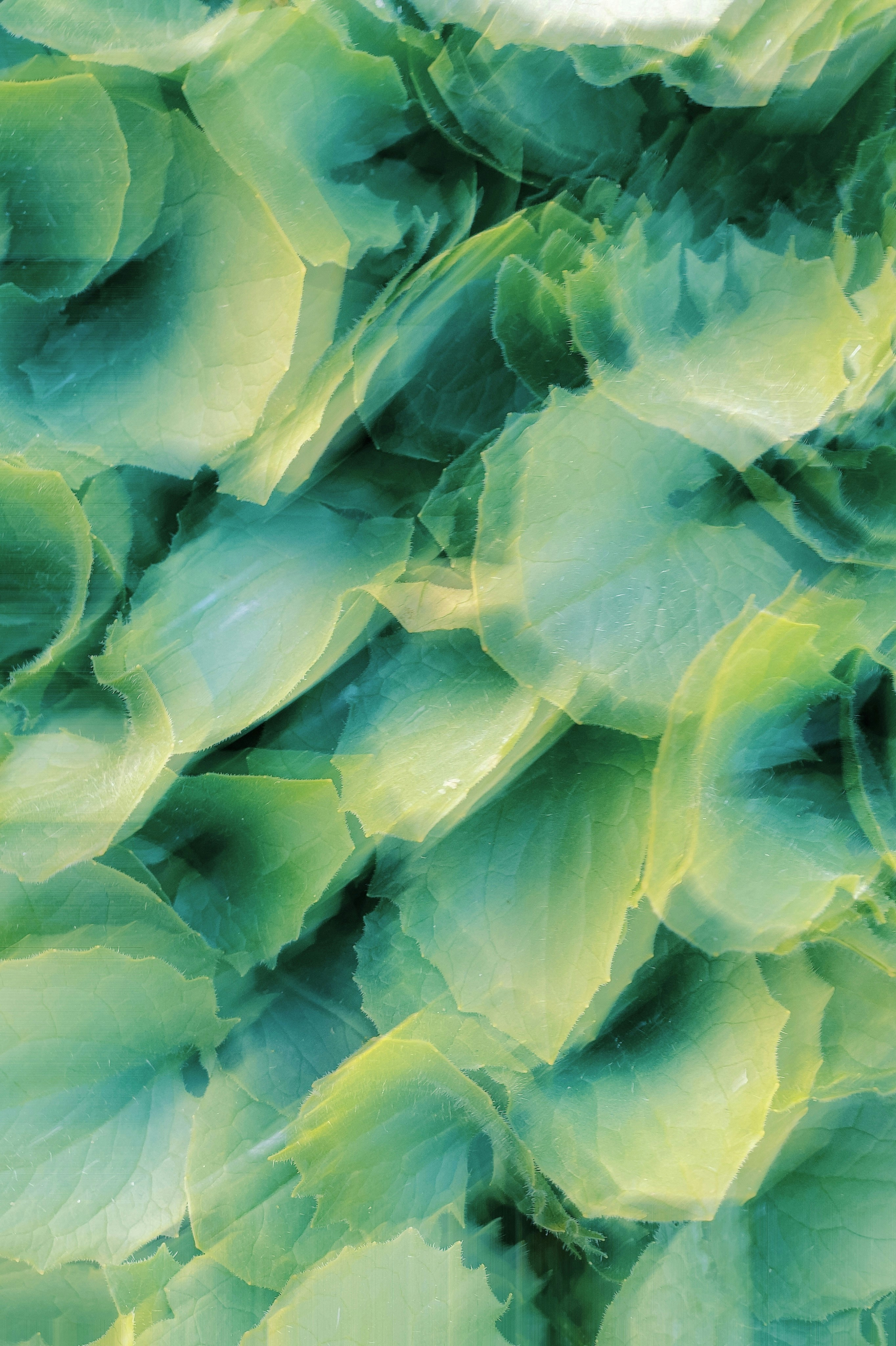 Photo by eugene_golovesov