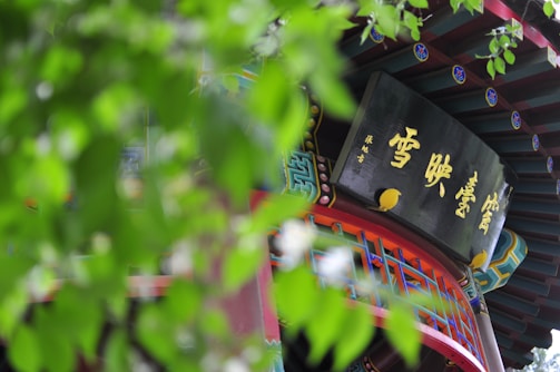 A traditional Chinese architectural detail with a focus on a sign featuring Chinese characters, surrounded by intricate patterns and bright colors. The foreground is filled with blurred green leaves, creating a natural frame.