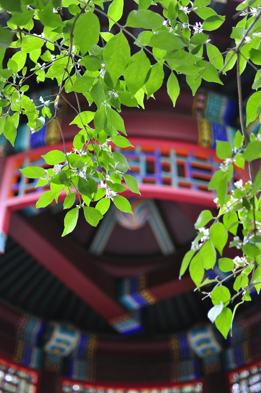 a red bridge and some green leaves in front of it