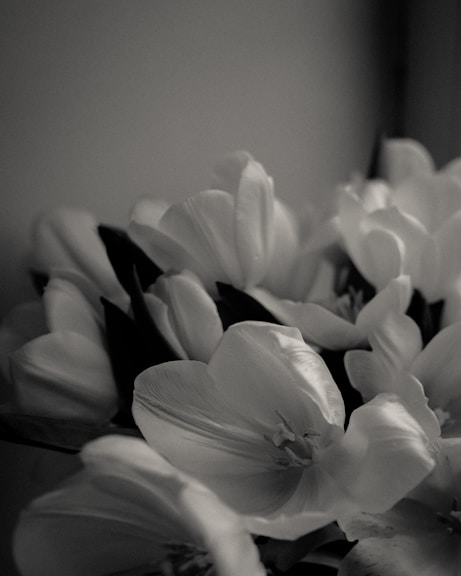 a black and white photo of flowers in a vase