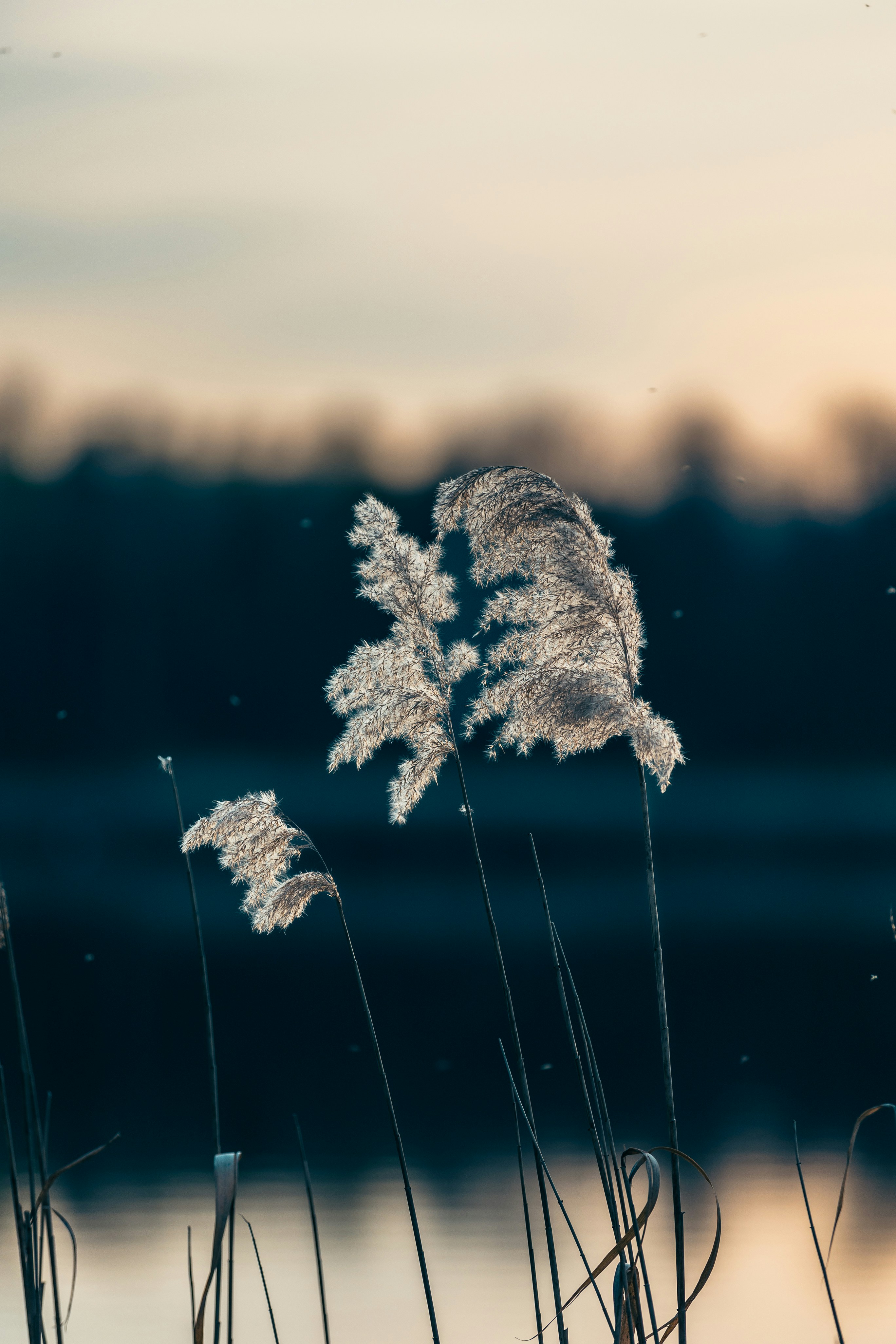 Photo by pegazem