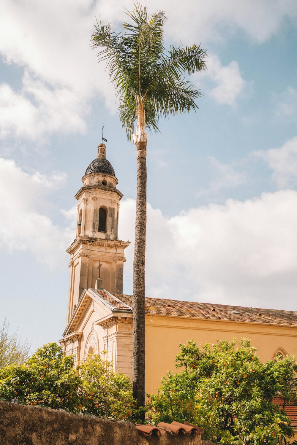 a palm tree in front of a church