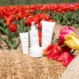 Several skincare products from the brand Plentada are arranged on a bale of hay. In the background, there's a vibrant field of red and yellow tulips. Some tulips are also placed next to the products.