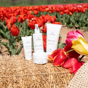 Several skincare products from the brand Plentada are arranged on a bale of hay. In the background, there's a vibrant field of red and yellow tulips. Some tulips are also placed next to the products.