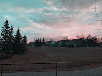 A peaceful suburban neighborhood with a row of houses behind a field. Tall evergreen trees are scattered around the area, and a partly cloudy sky has a pink hue, suggesting a sunrise or sunset. A fence runs along the foreground, separating the viewer from the field.