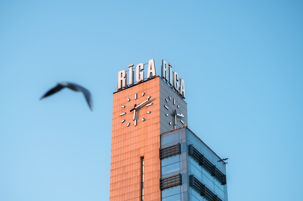 a bird flying past a tall building with a clock on it's side