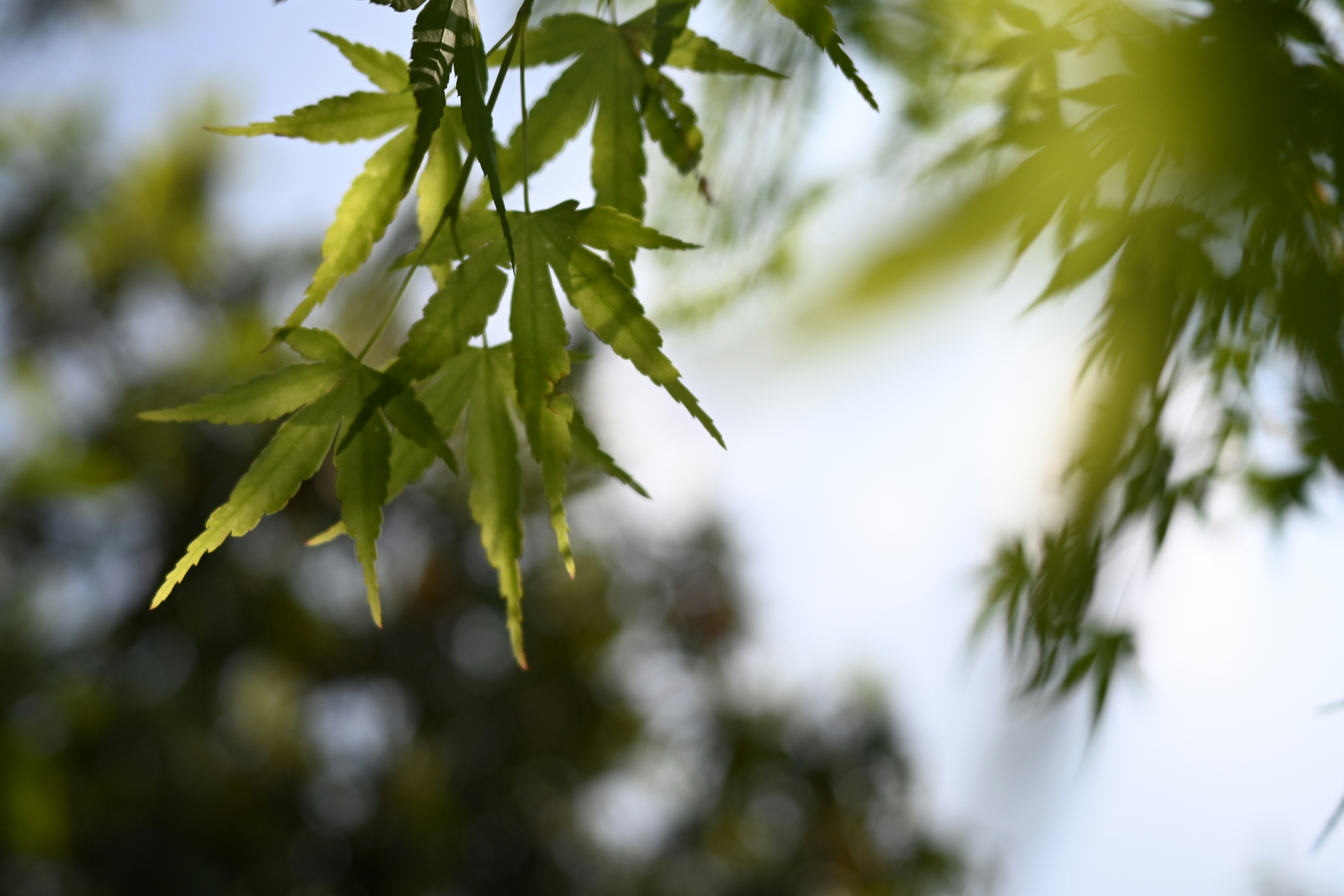 Photo by raidayzhang