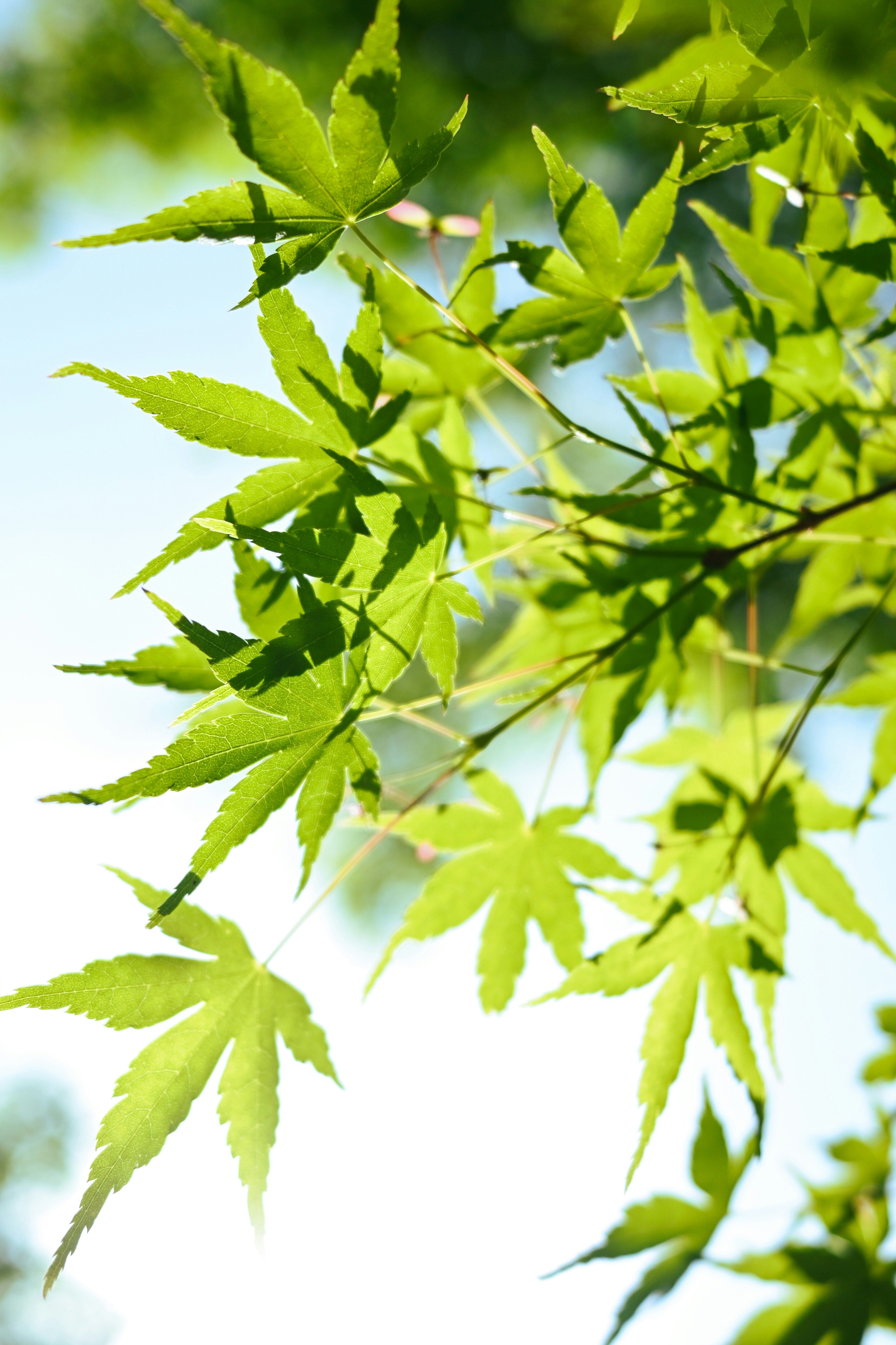 Photo by raidayzhang