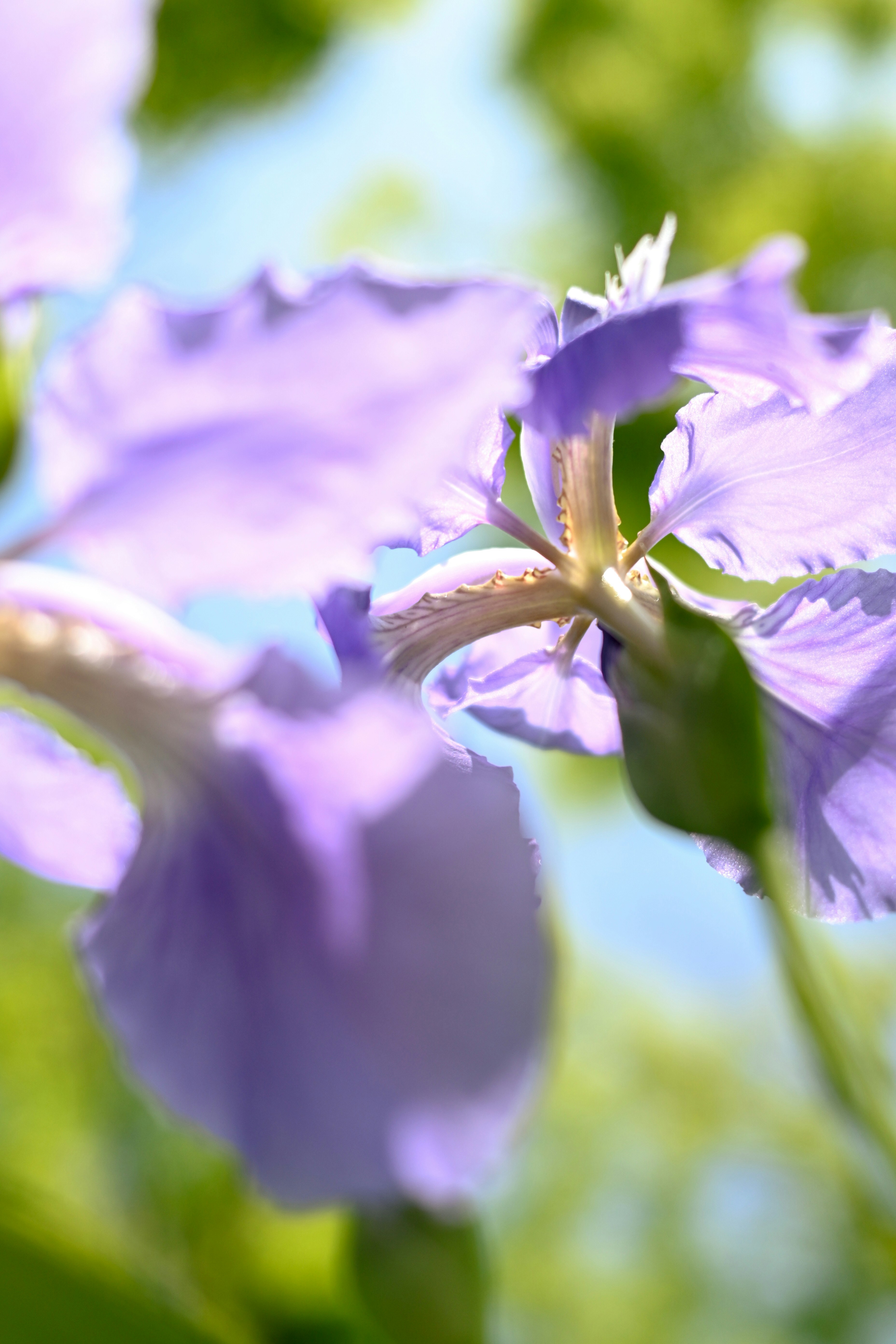 Photo by raidayzhang