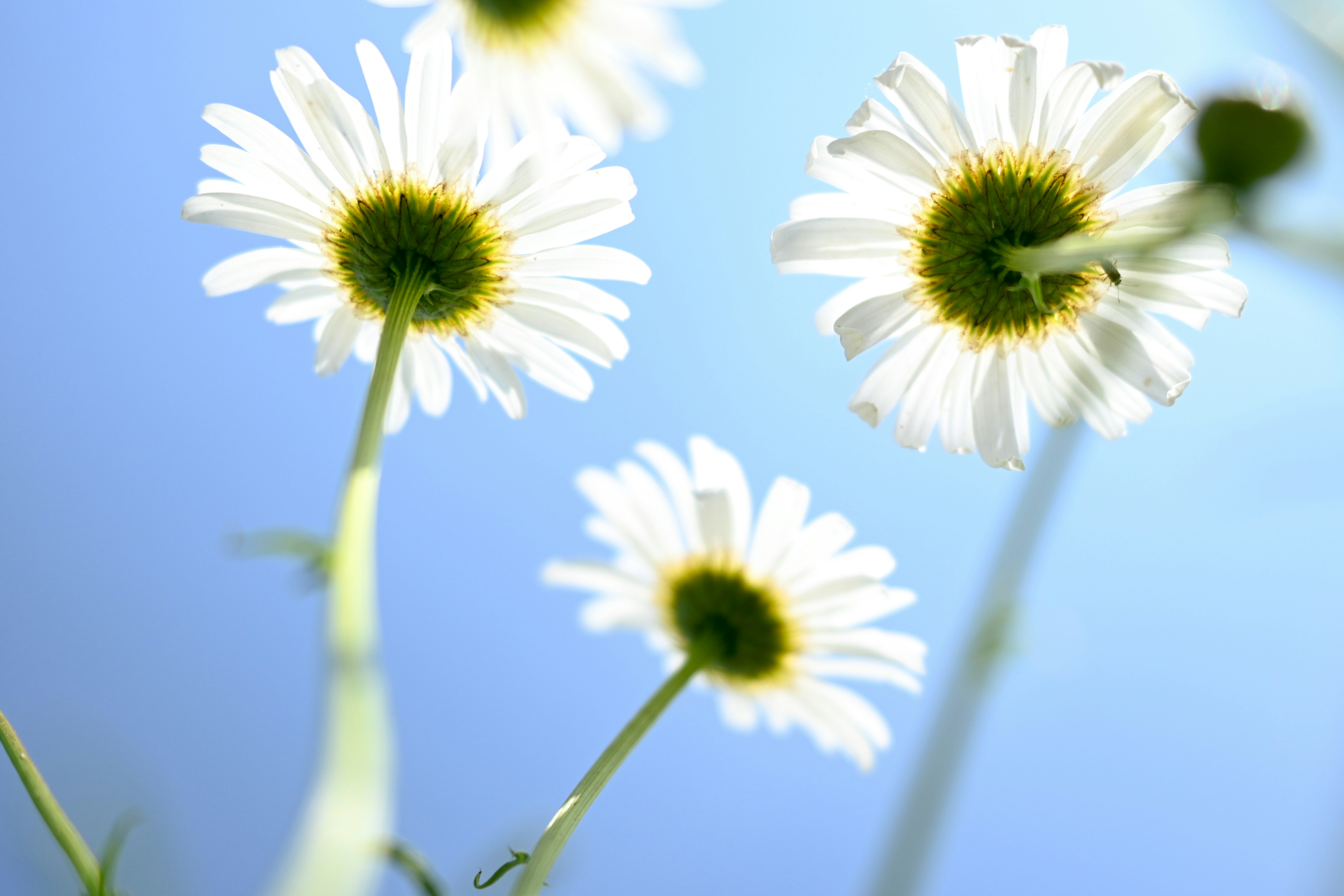 Photo by raidayzhang