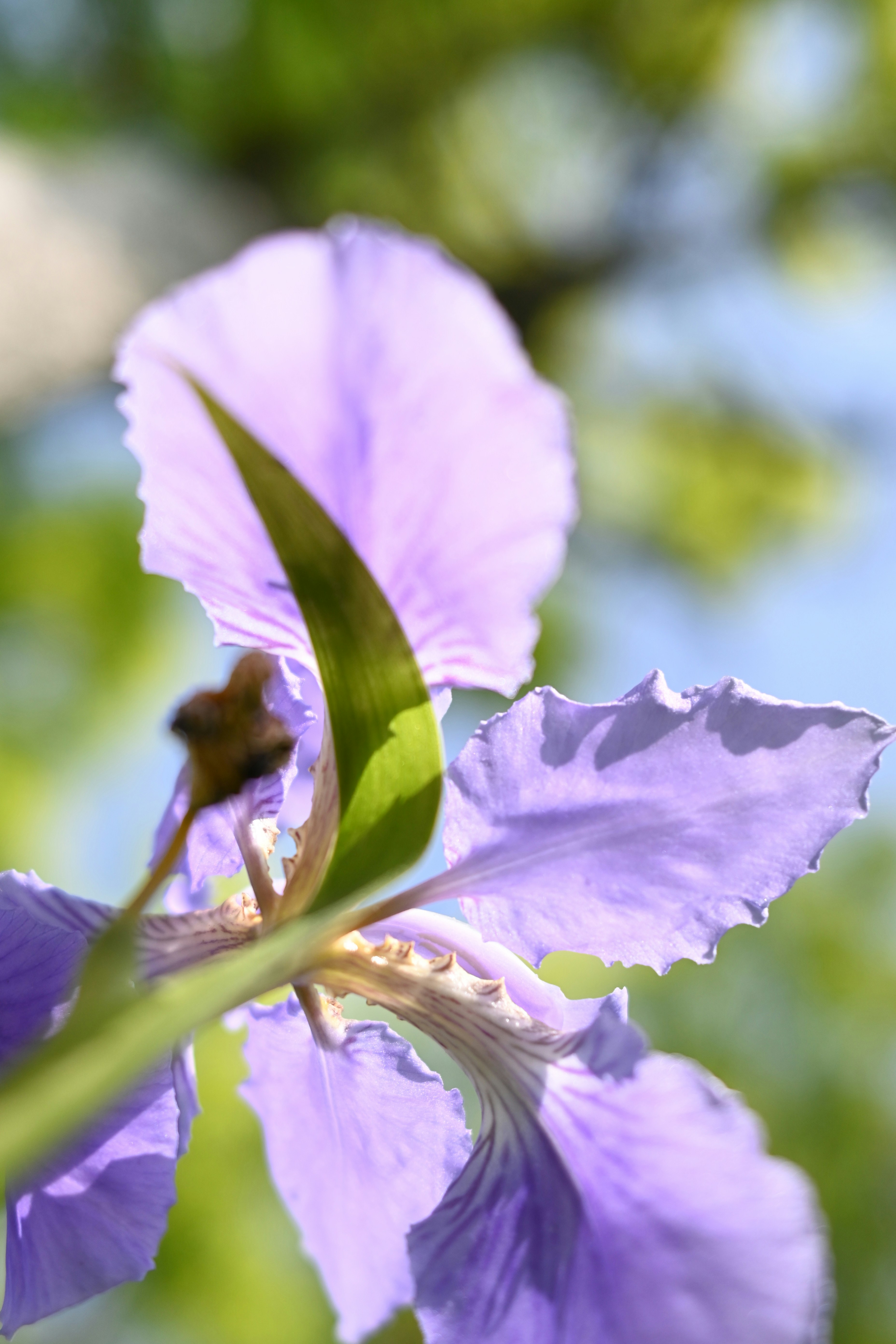 Photo by raidayzhang