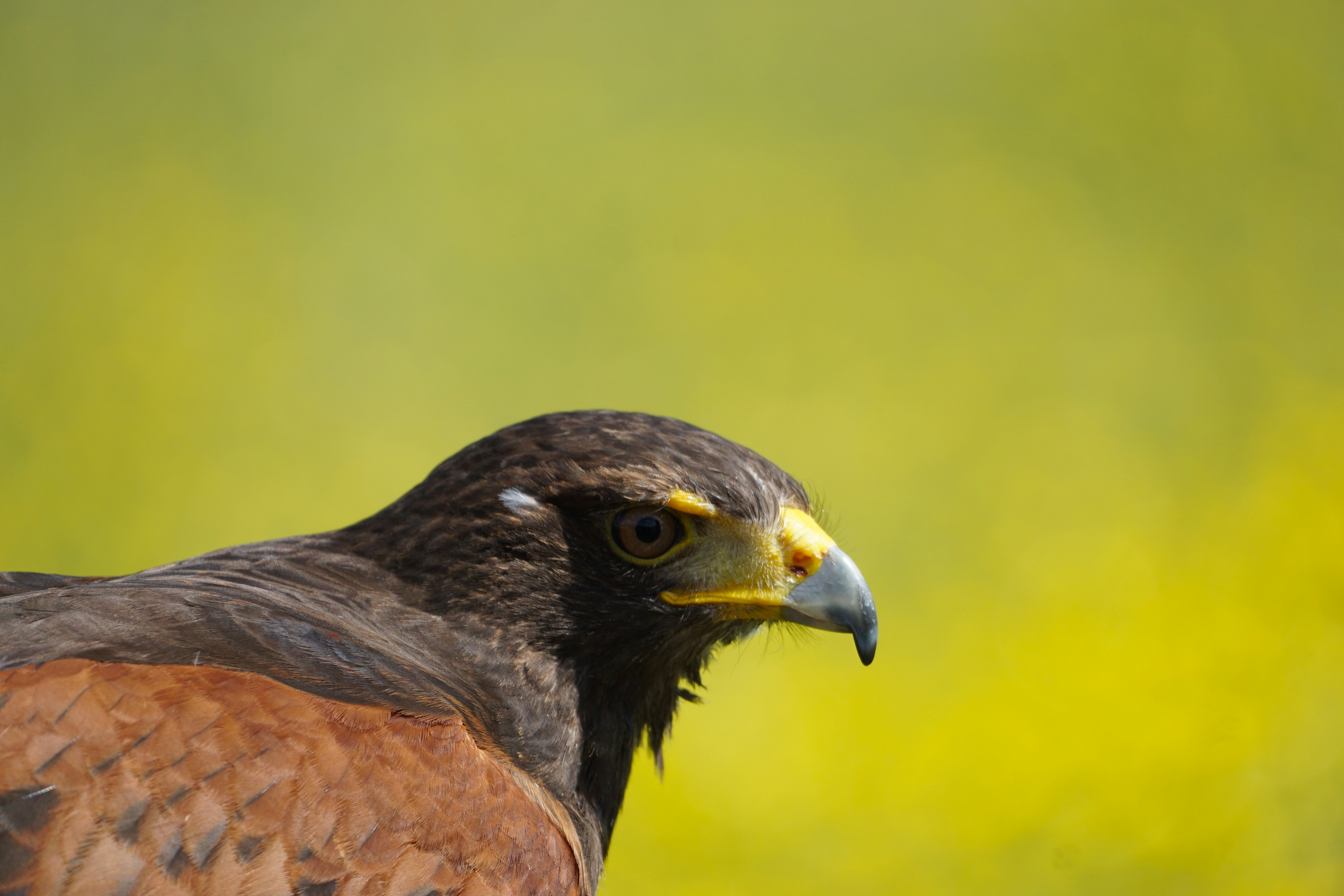 Photo by aryatulsyan