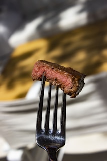 a fork with a piece of meat on it