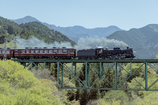 A vintage steam train is crossing a green trestle bridge surrounded by lush greenery. In the background, majestic mountains create a scenic backdrop under a clear sky. Smoke billows from the train's chimney as it travels through the picturesque landscape.