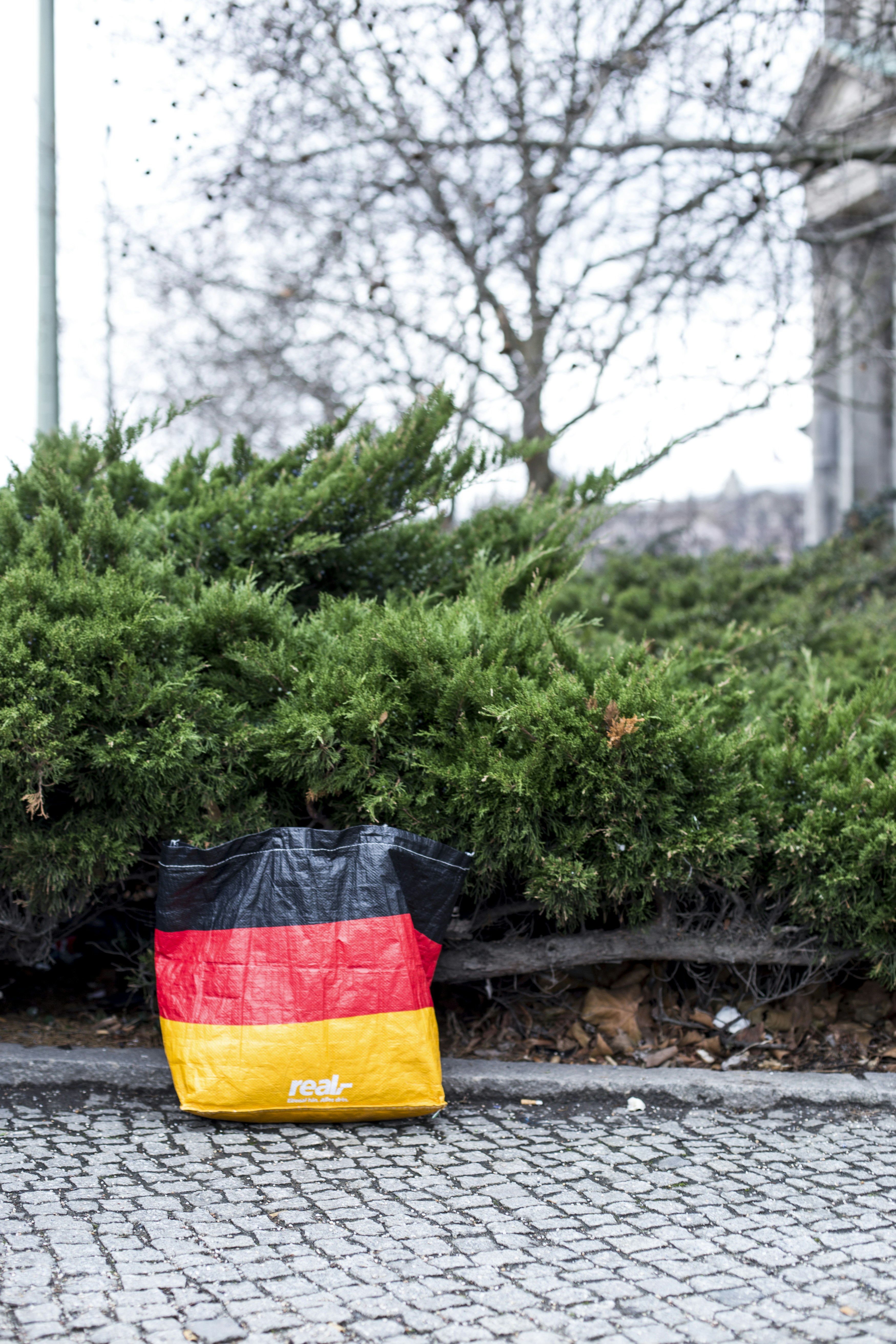 eine Tasche, die neben einem Busch auf dem Boden sitzt