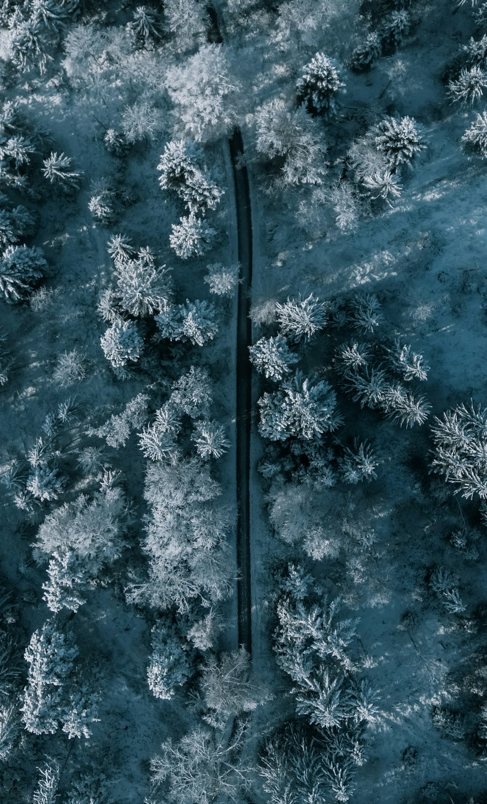 an aerial view of snow covered trees and a road