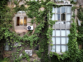 A building facade covered in dense green ivy, with several windows partially visible. Some air conditioning units are attached to the walls. The window on the left is open and lit warmly from the inside, contrasting with the larger closed frosted window on the right.
