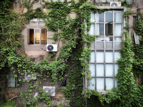 A building facade covered in dense green ivy, with several windows partially visible. Some air conditioning units are attached to the walls. The window on the left is open and lit warmly from the inside, contrasting with the larger closed frosted window on the right.