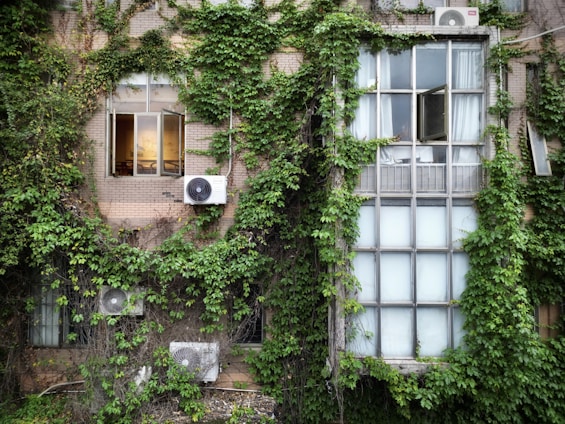 A building facade covered in dense green ivy, with several windows partially visible. Some air conditioning units are attached to the walls. The window on the left is open and lit warmly from the inside, contrasting with the larger closed frosted window on the right.