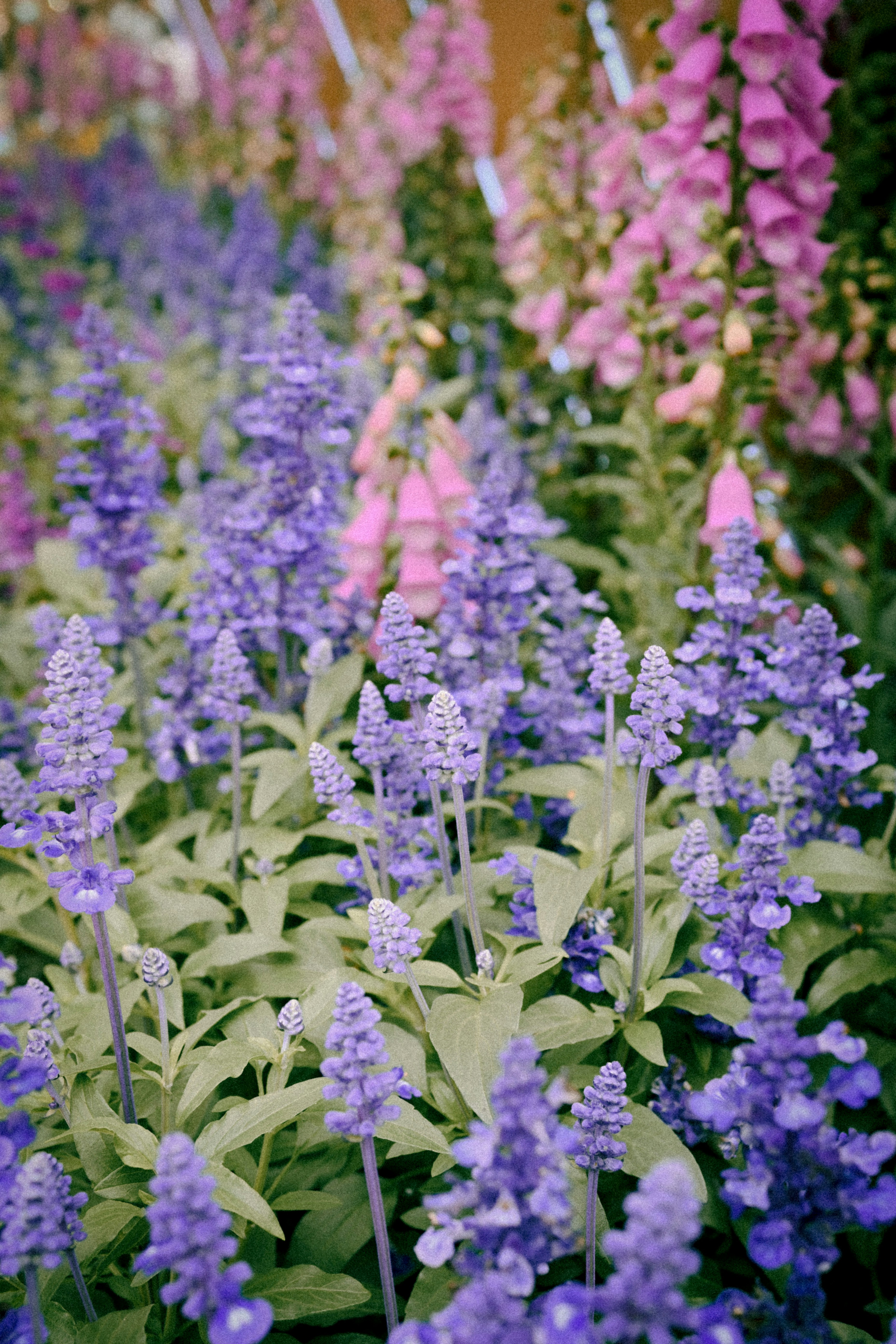 Photo by raidayzhang