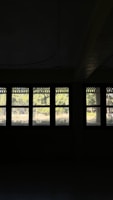 A row of windows set against a dark interior background displays an exterior view of trees and greenery. The windows feature a decorative upper border, while the sunlight highlights the natural scenery outside.