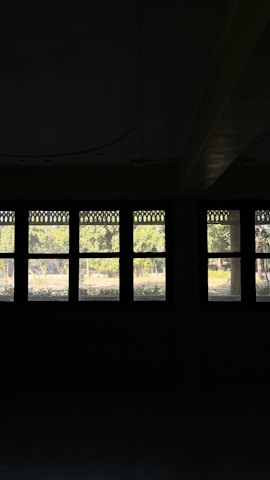 A row of windows set against a dark interior background displays an exterior view of trees and greenery. The windows feature a decorative upper border, while the sunlight highlights the natural scenery outside.