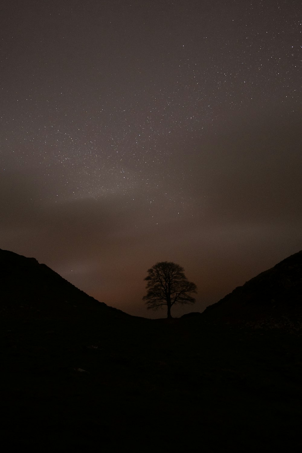 a lone tree on a hill under a night sky