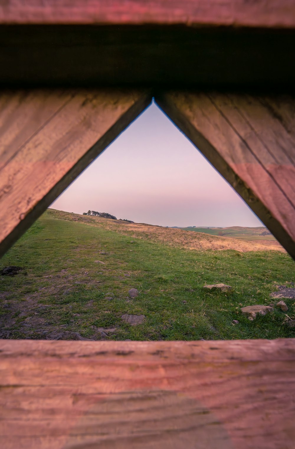 uma vista de um campo gramado através de uma janela