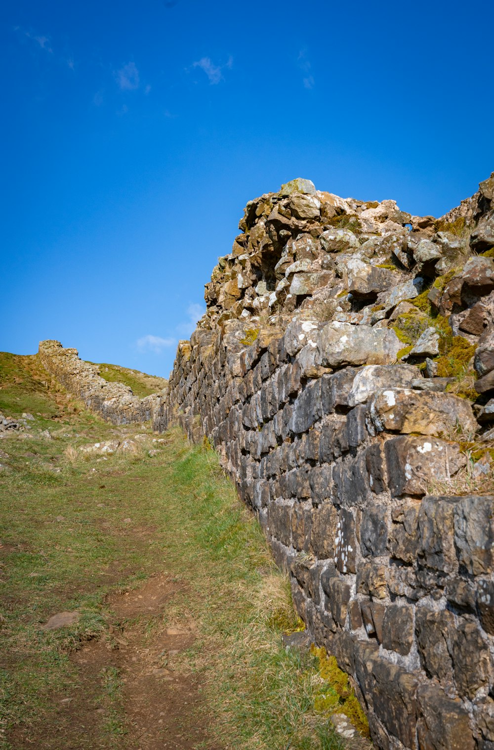 a stone wall with grass growing on it