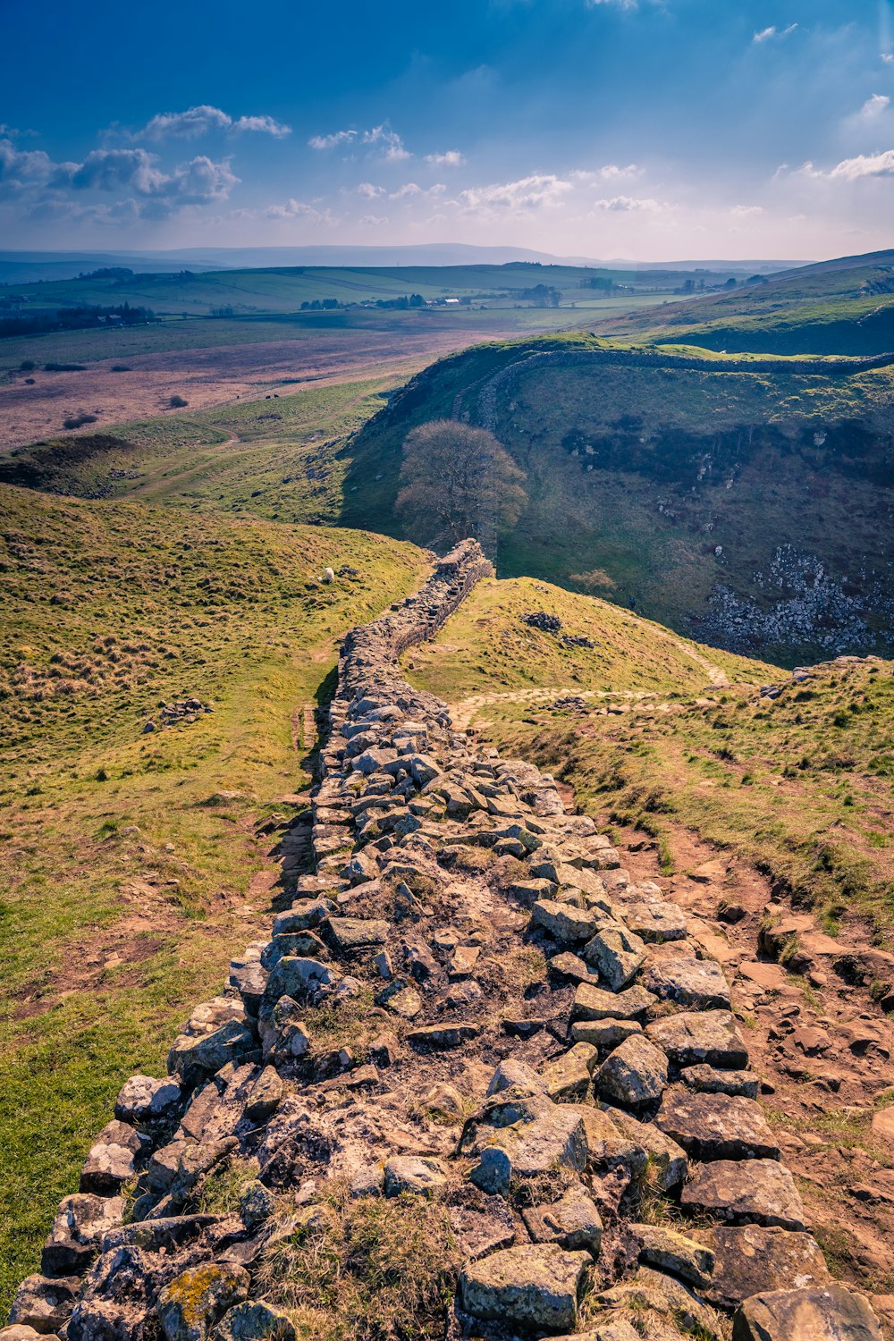 a stone wall in the middle of a field