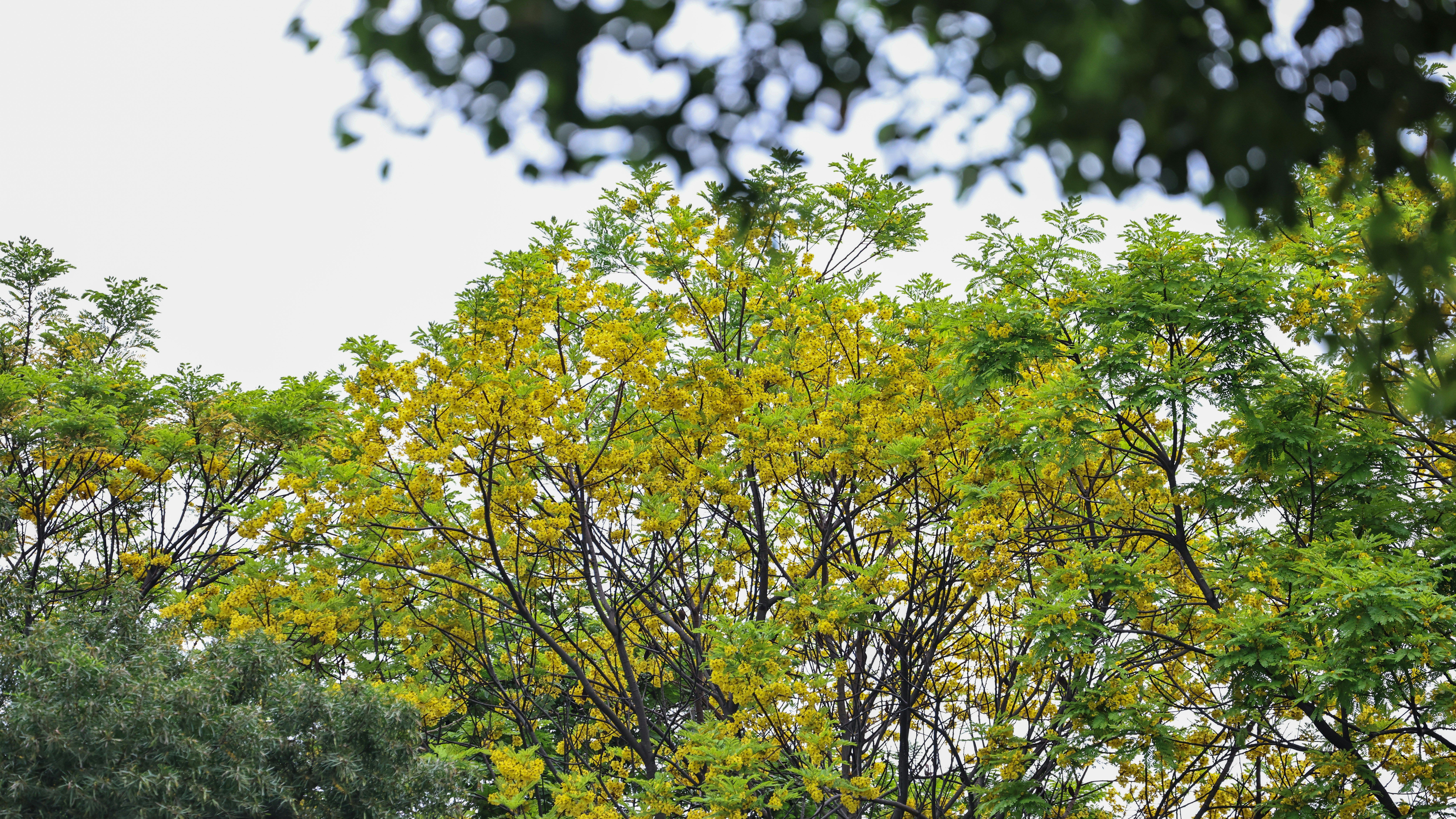 Photo by dickenslin76