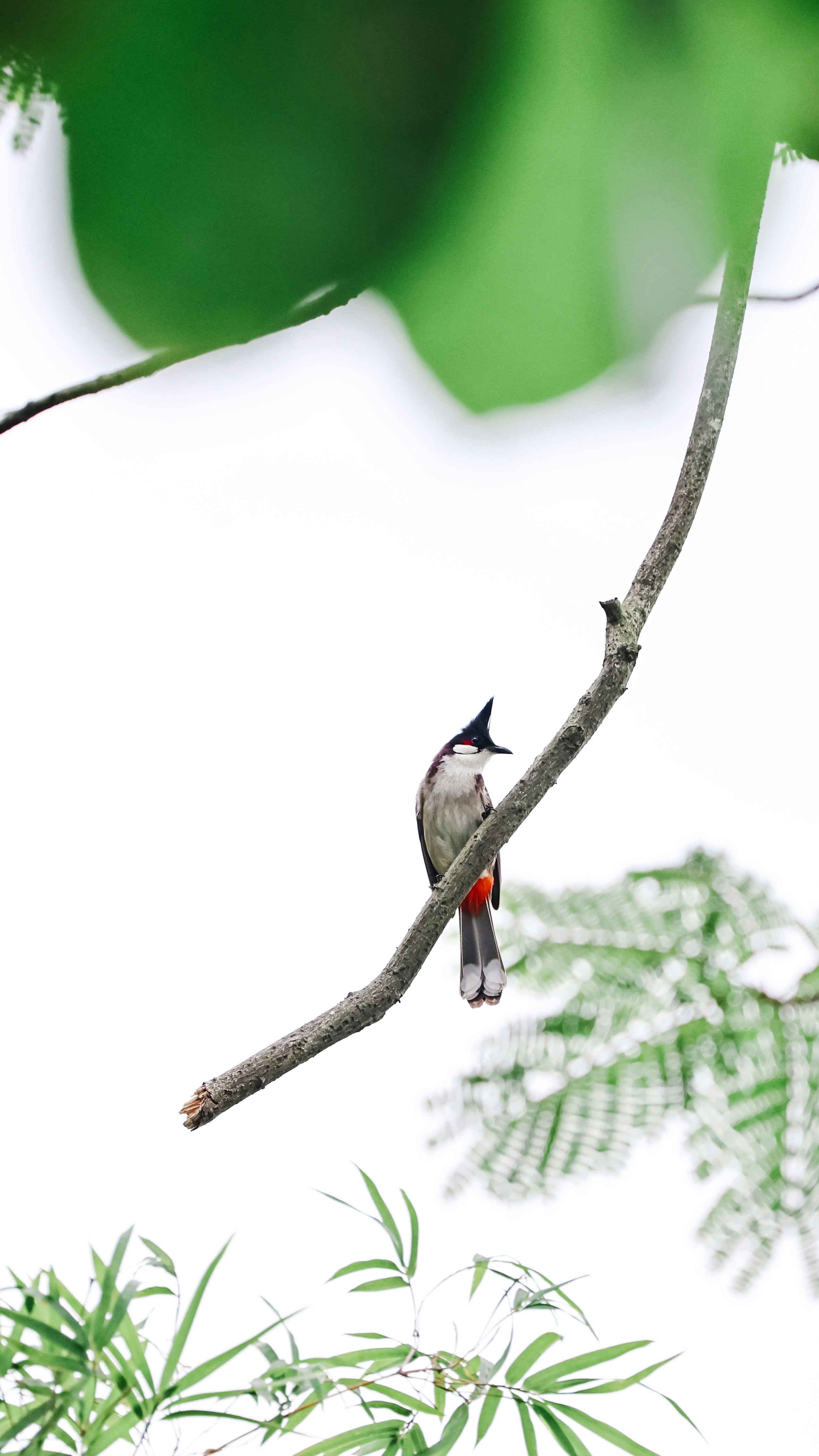 Photo by dickenslin76