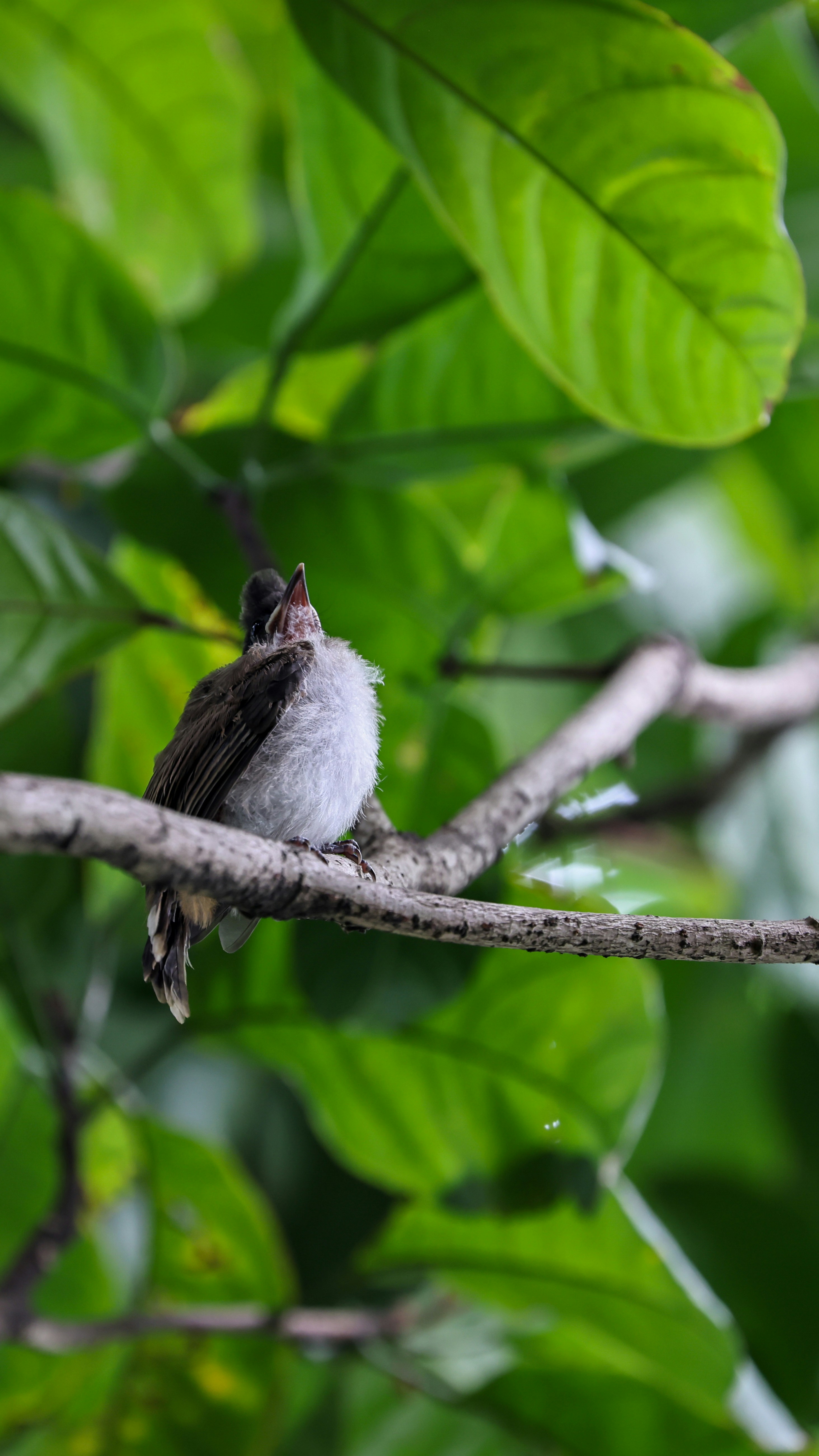 Photo by dickenslin76