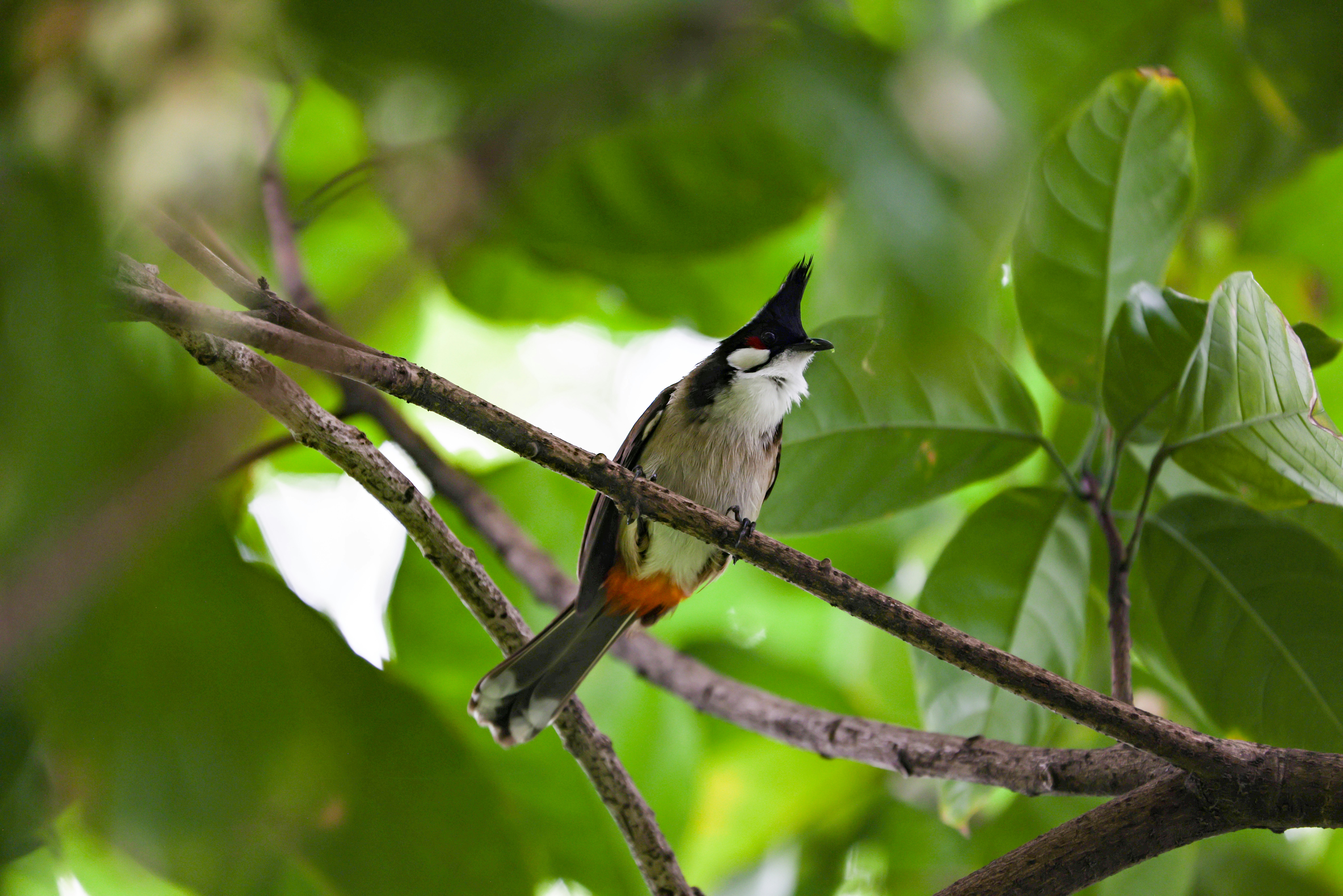 Photo by dickenslin76