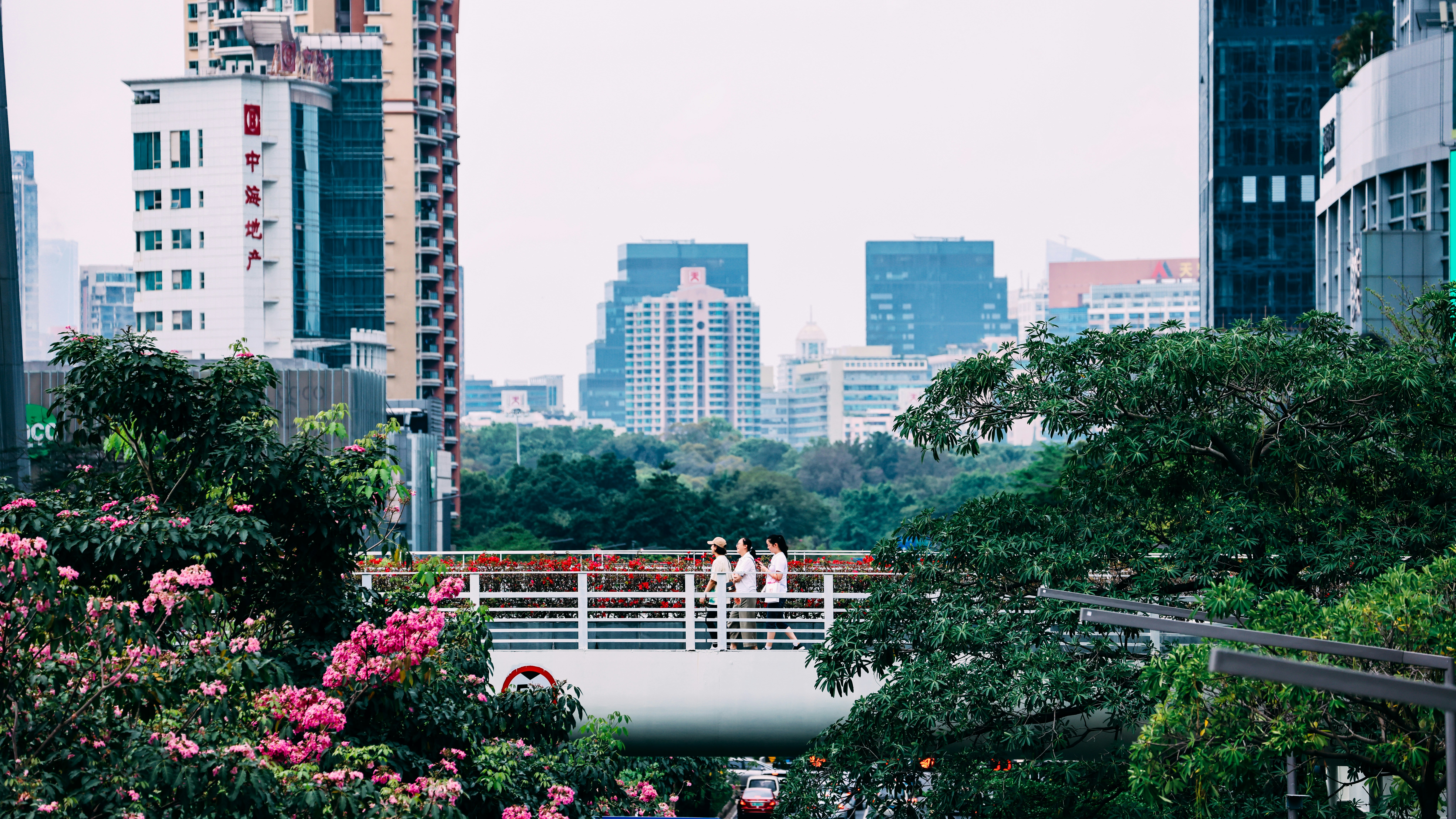 Photo by dickenslin76