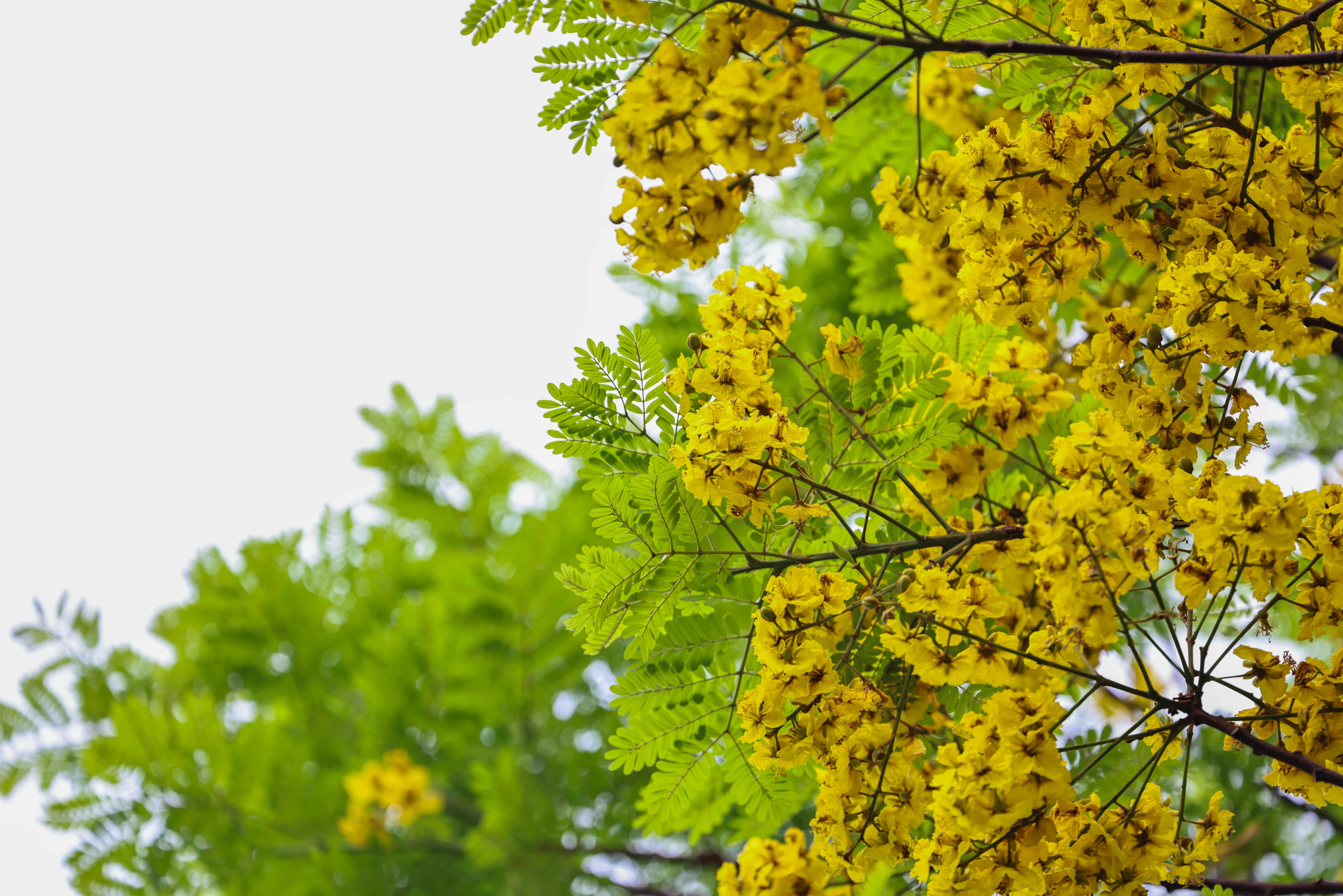 Photo by dickenslin76