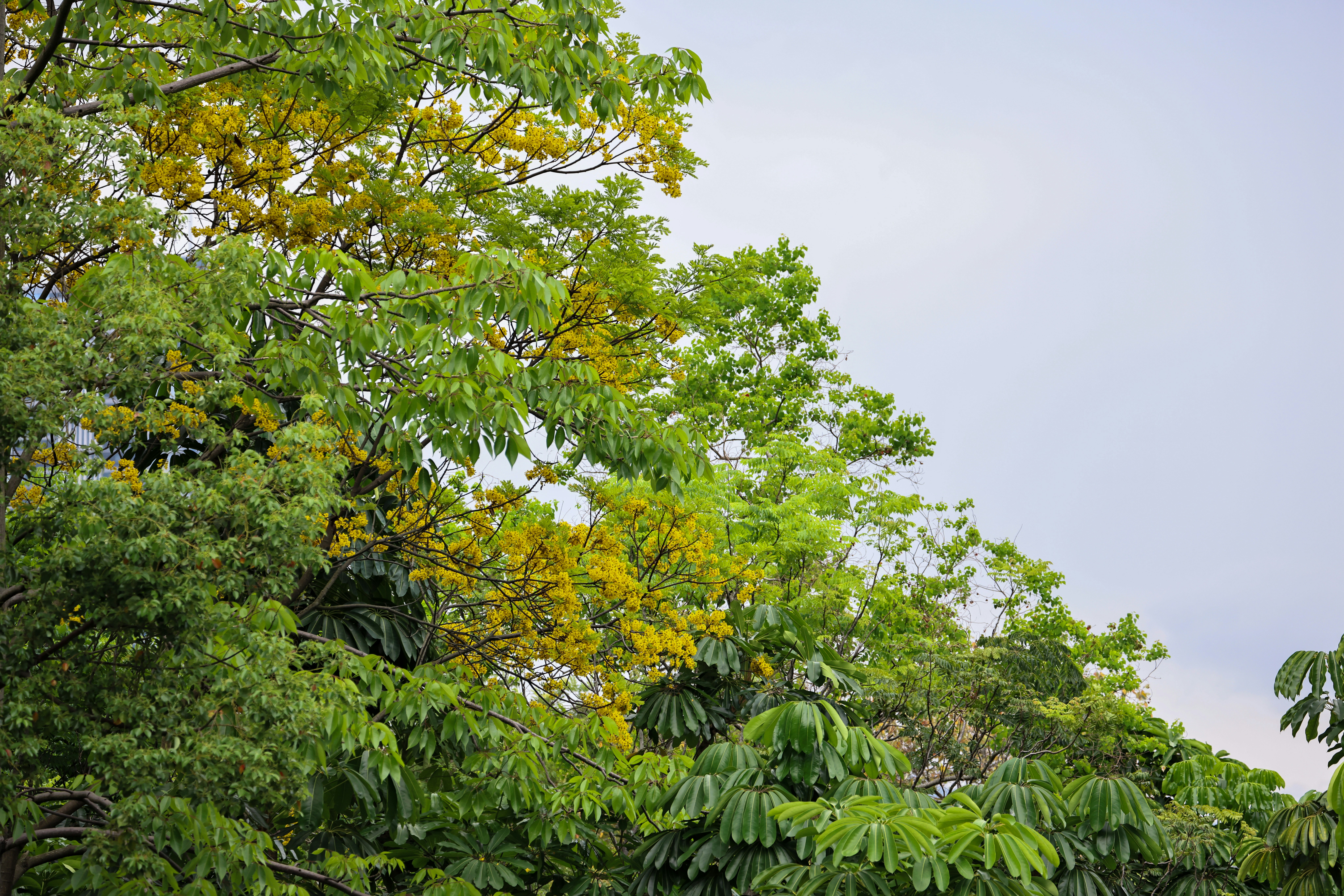 Photo by dickenslin76