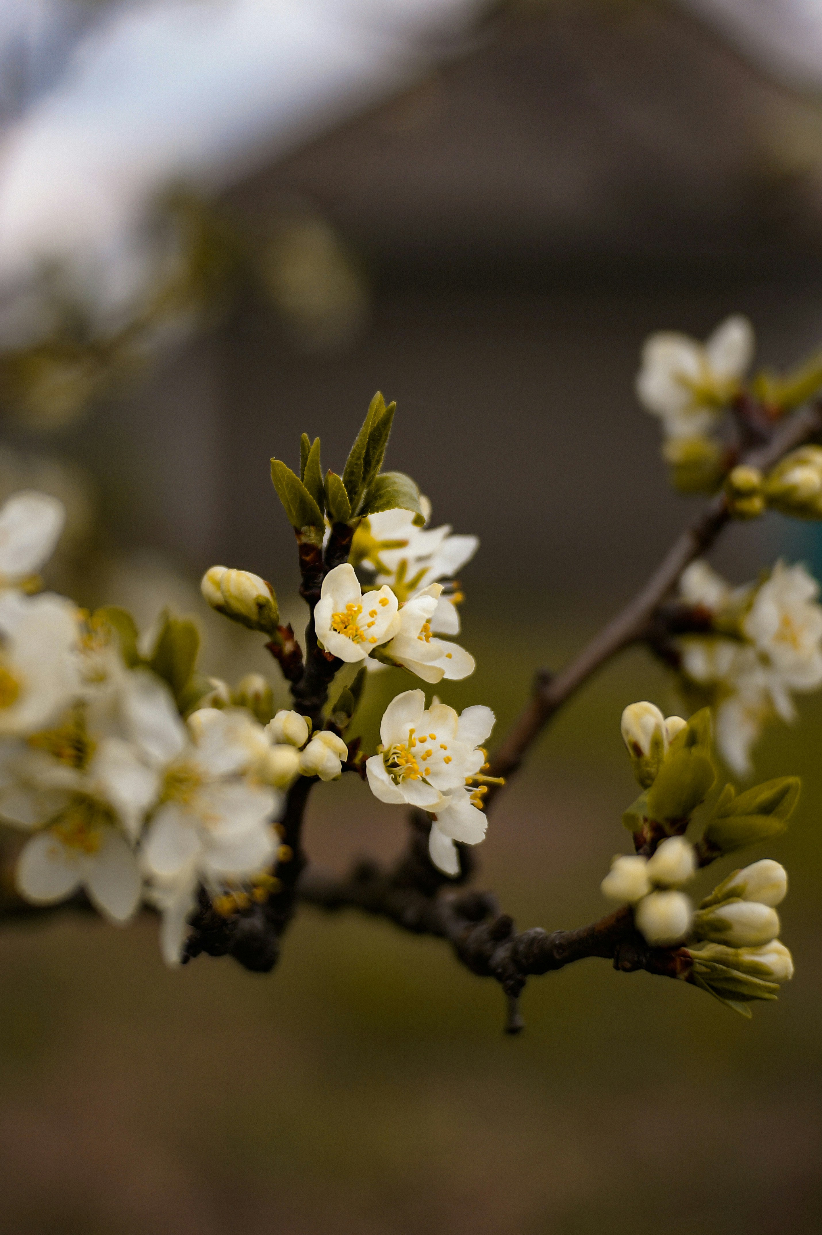 Photo by valentine_ivanova