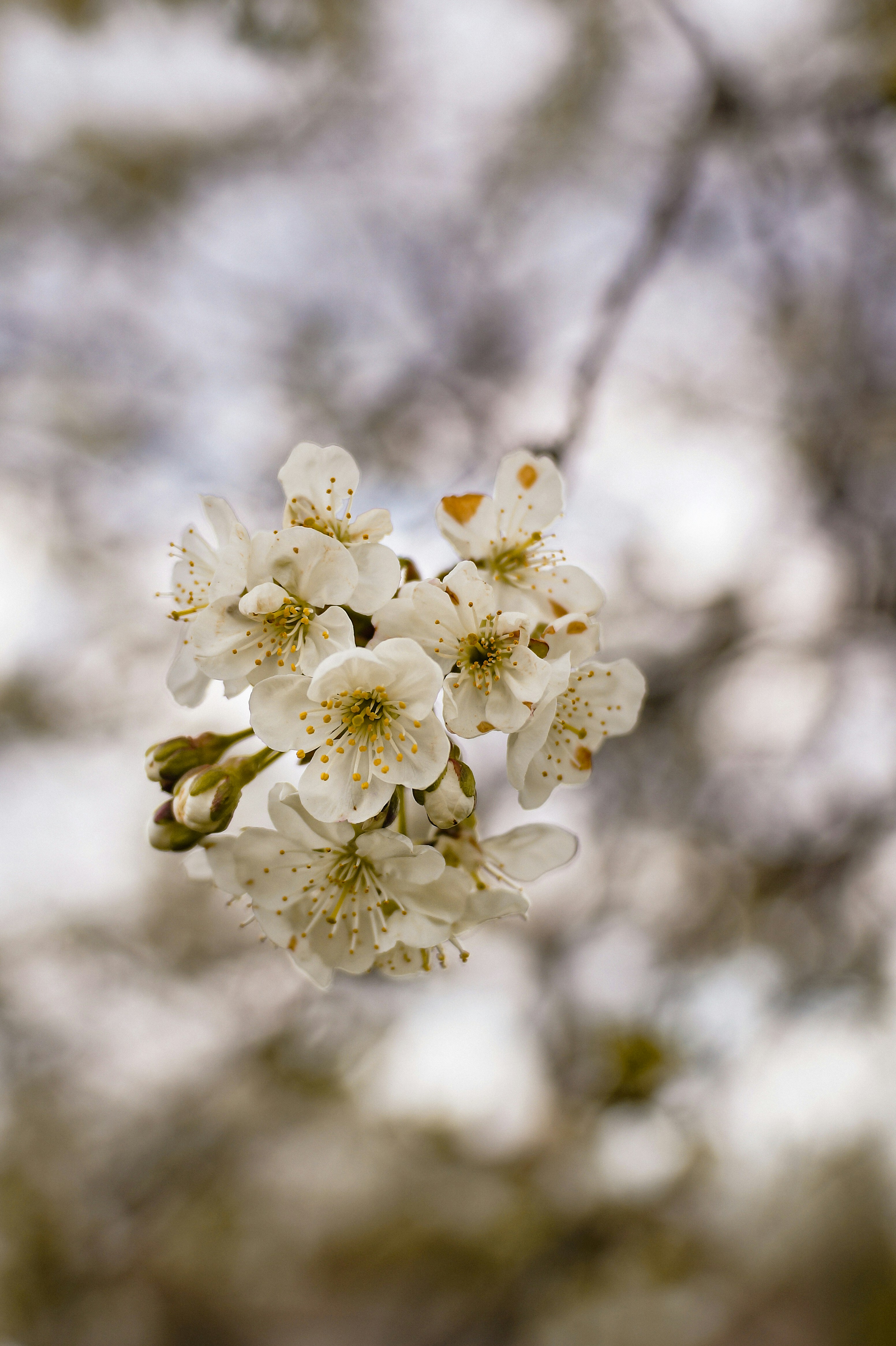 Photo by valentine_ivanova