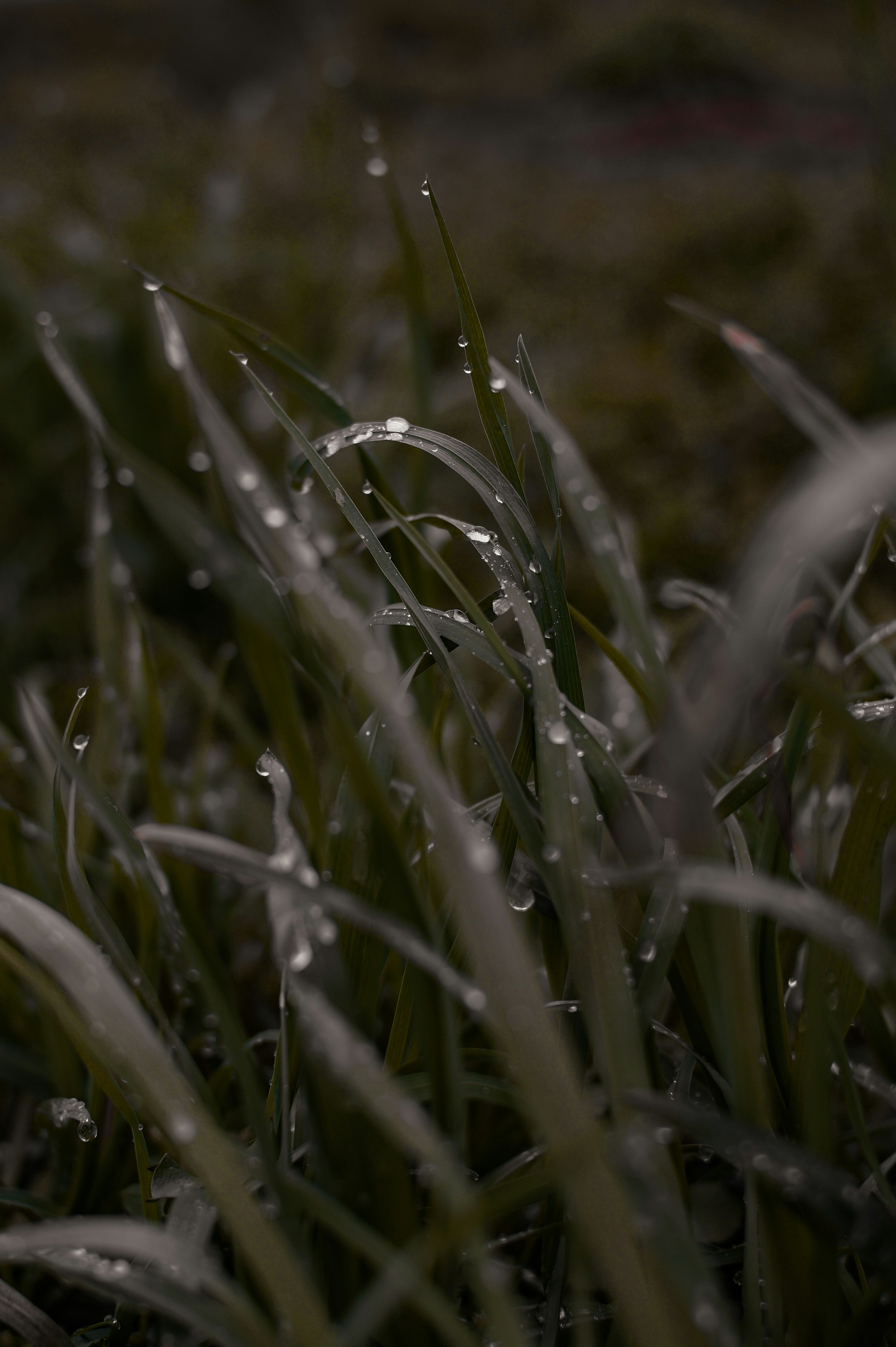 Photo by valentine_ivanova