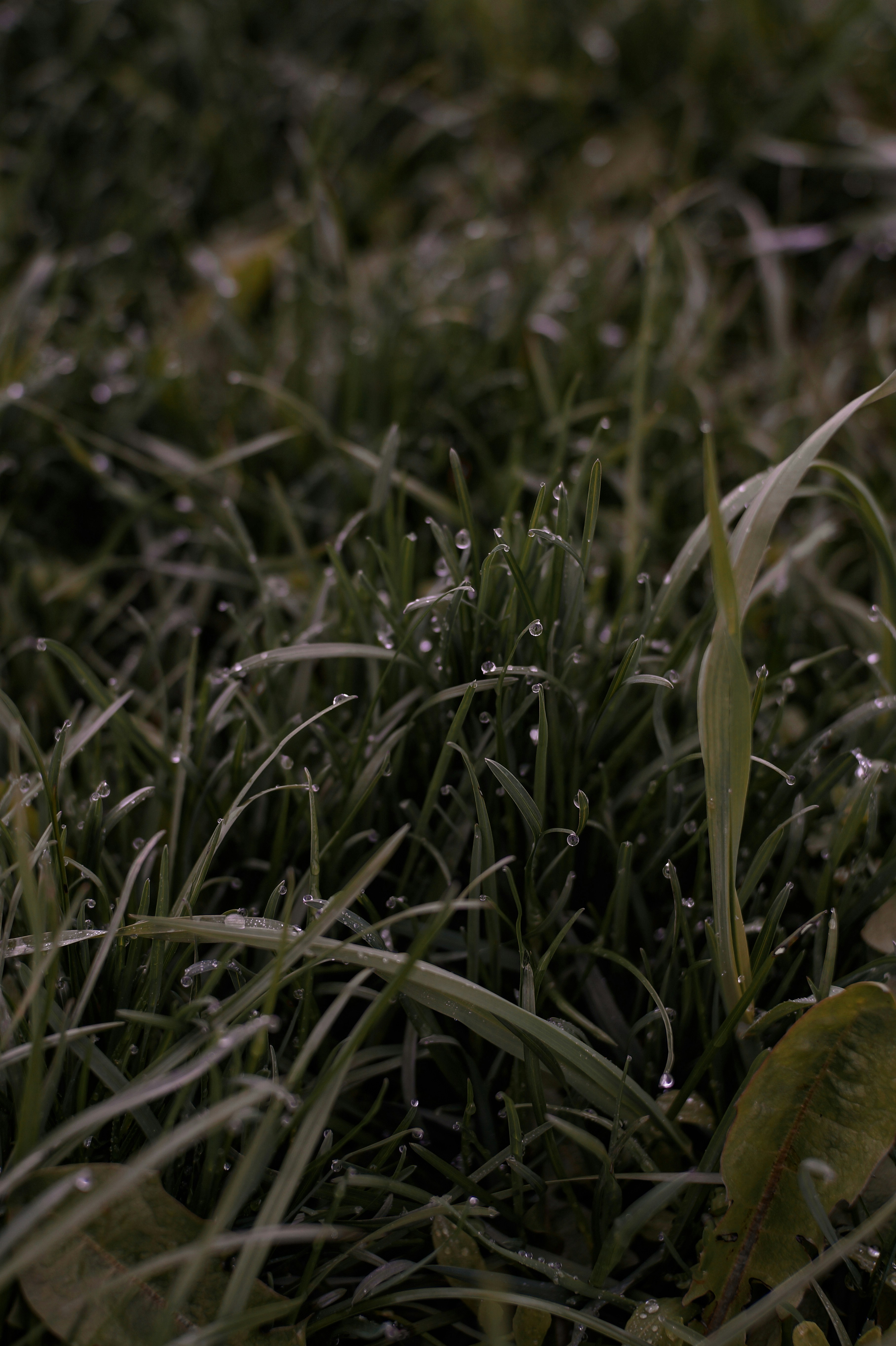 Photo by valentine_ivanova