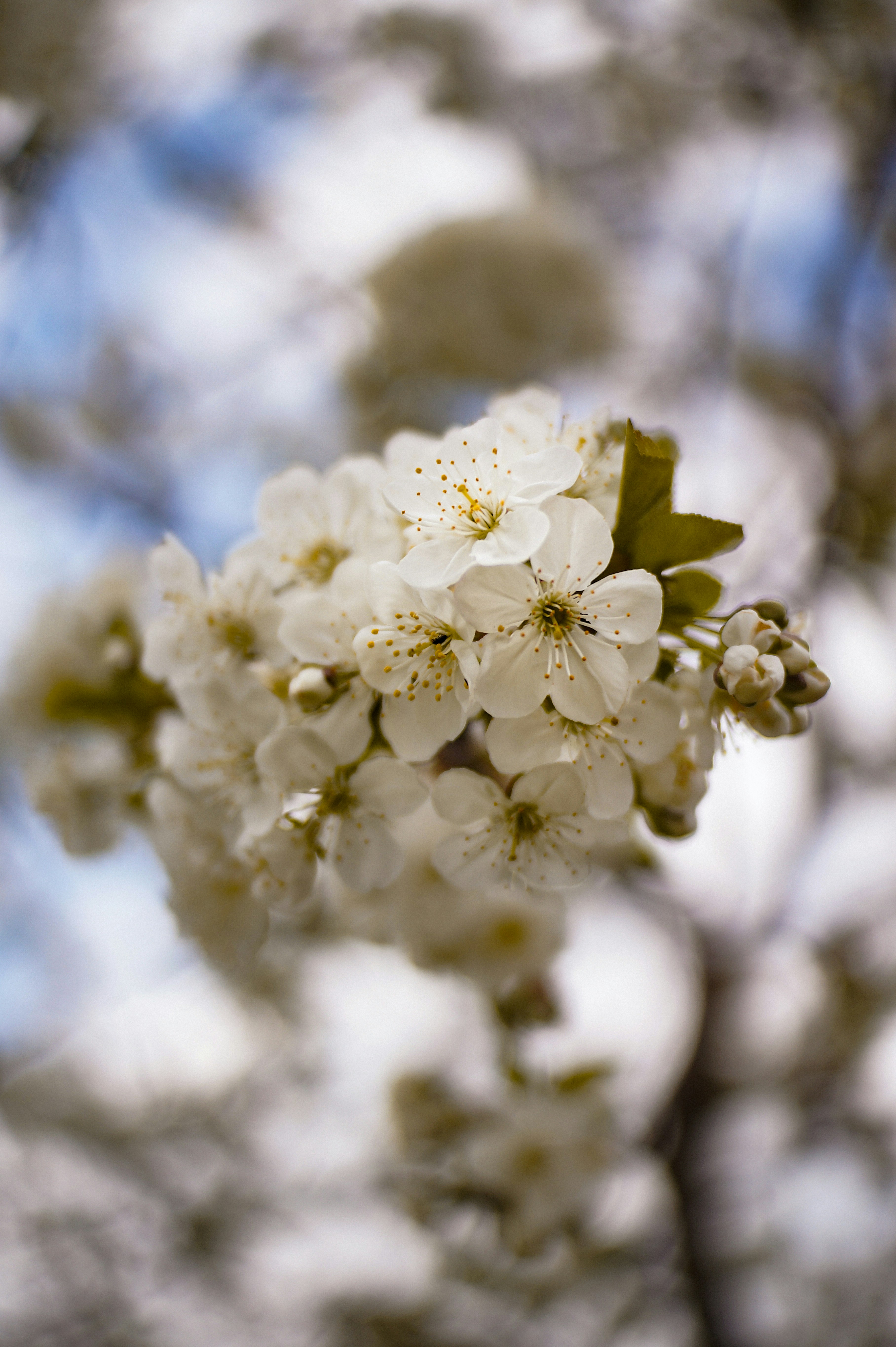 Photo by valentine_ivanova