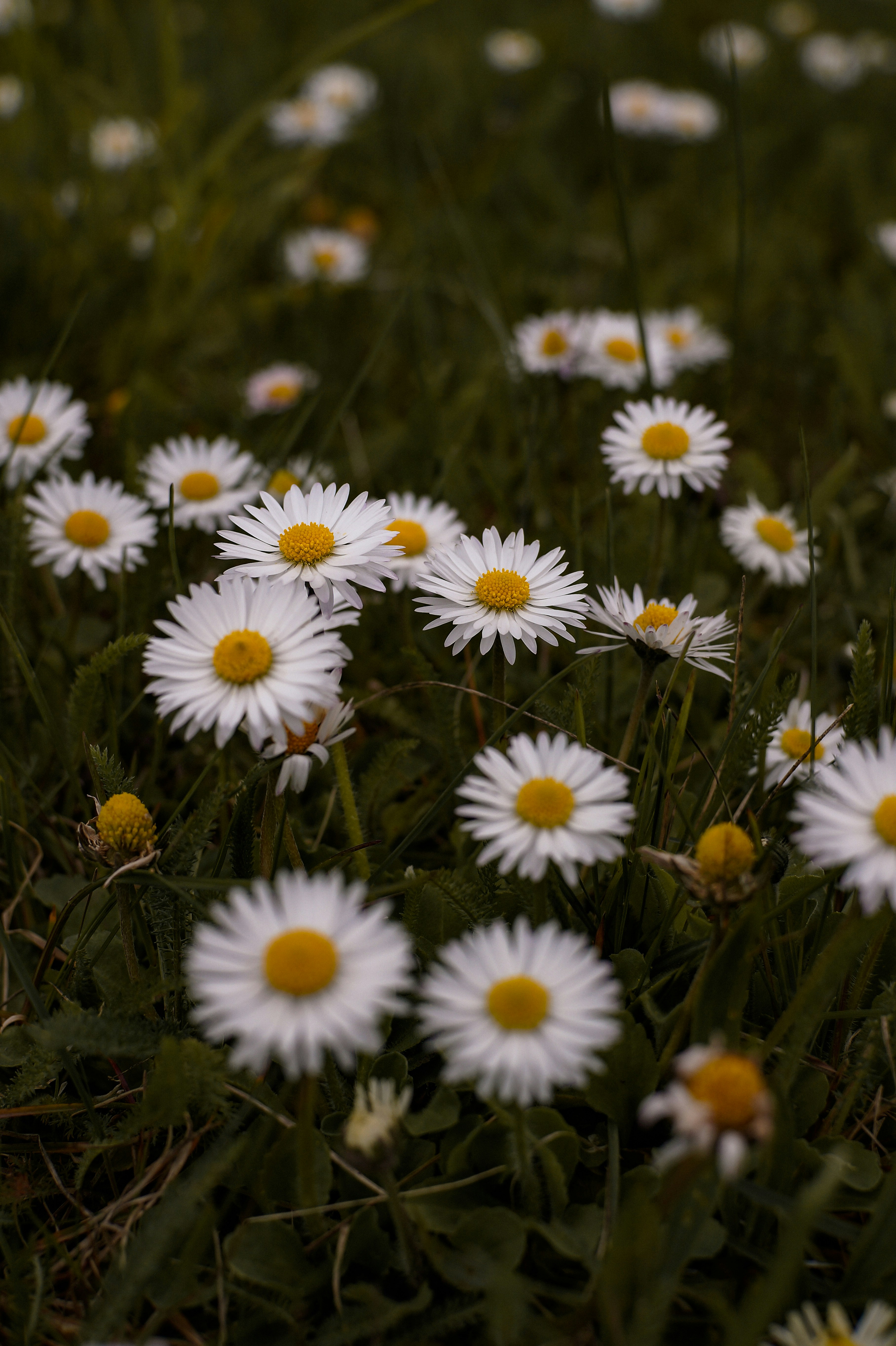 Photo by valentine_ivanova