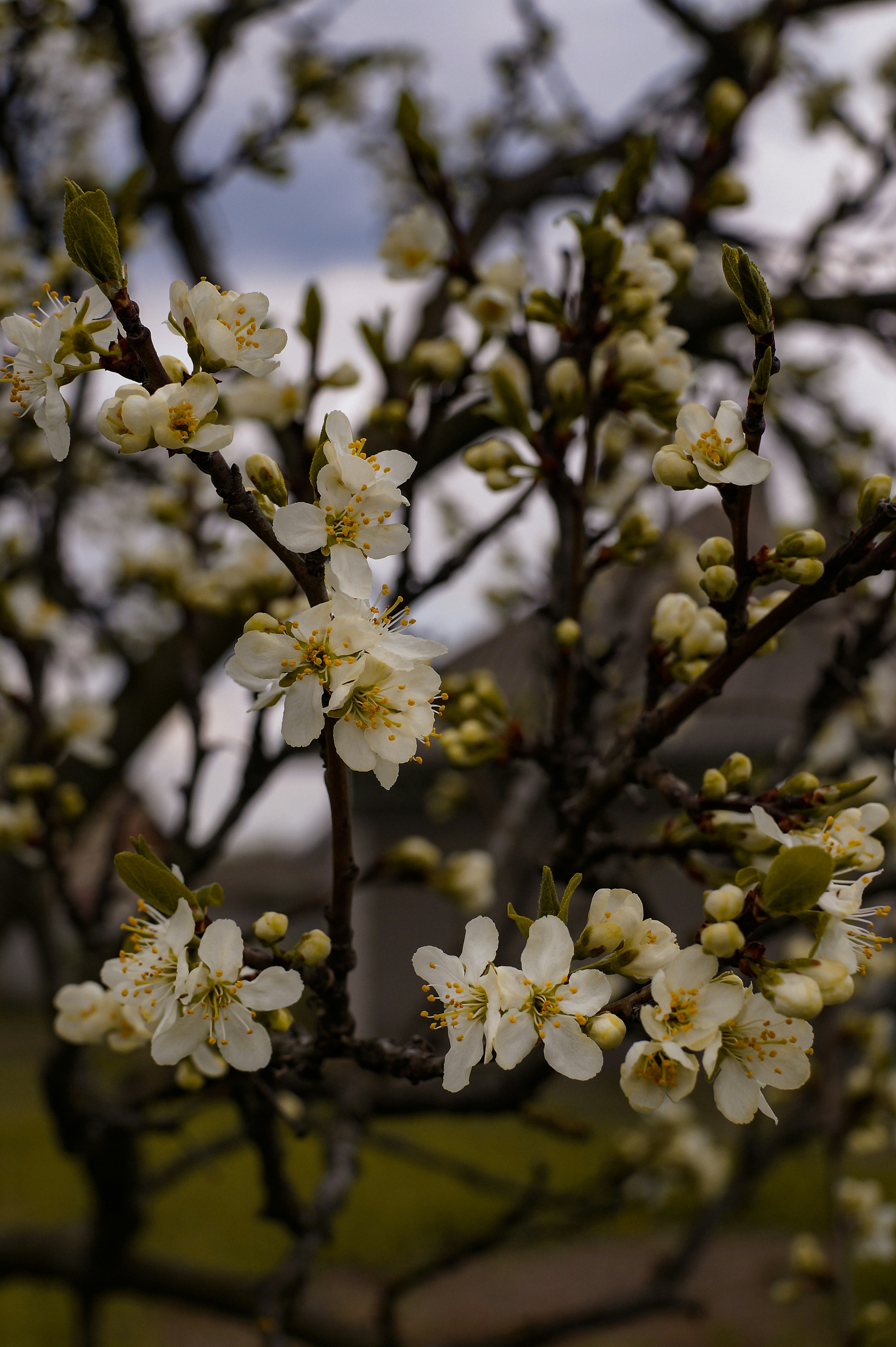 Photo by valentine_ivanova