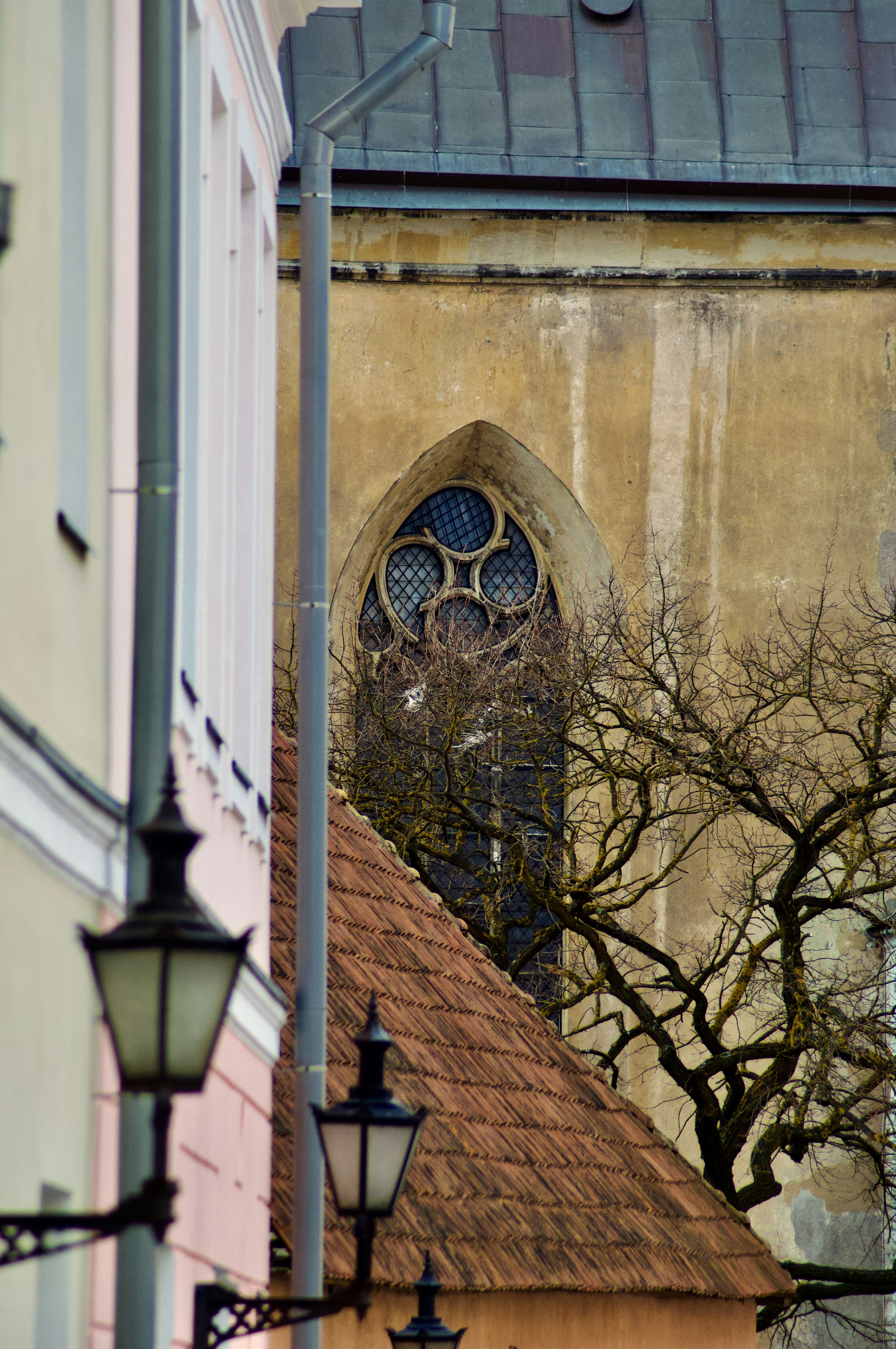 Tallinn Old Town photo 3