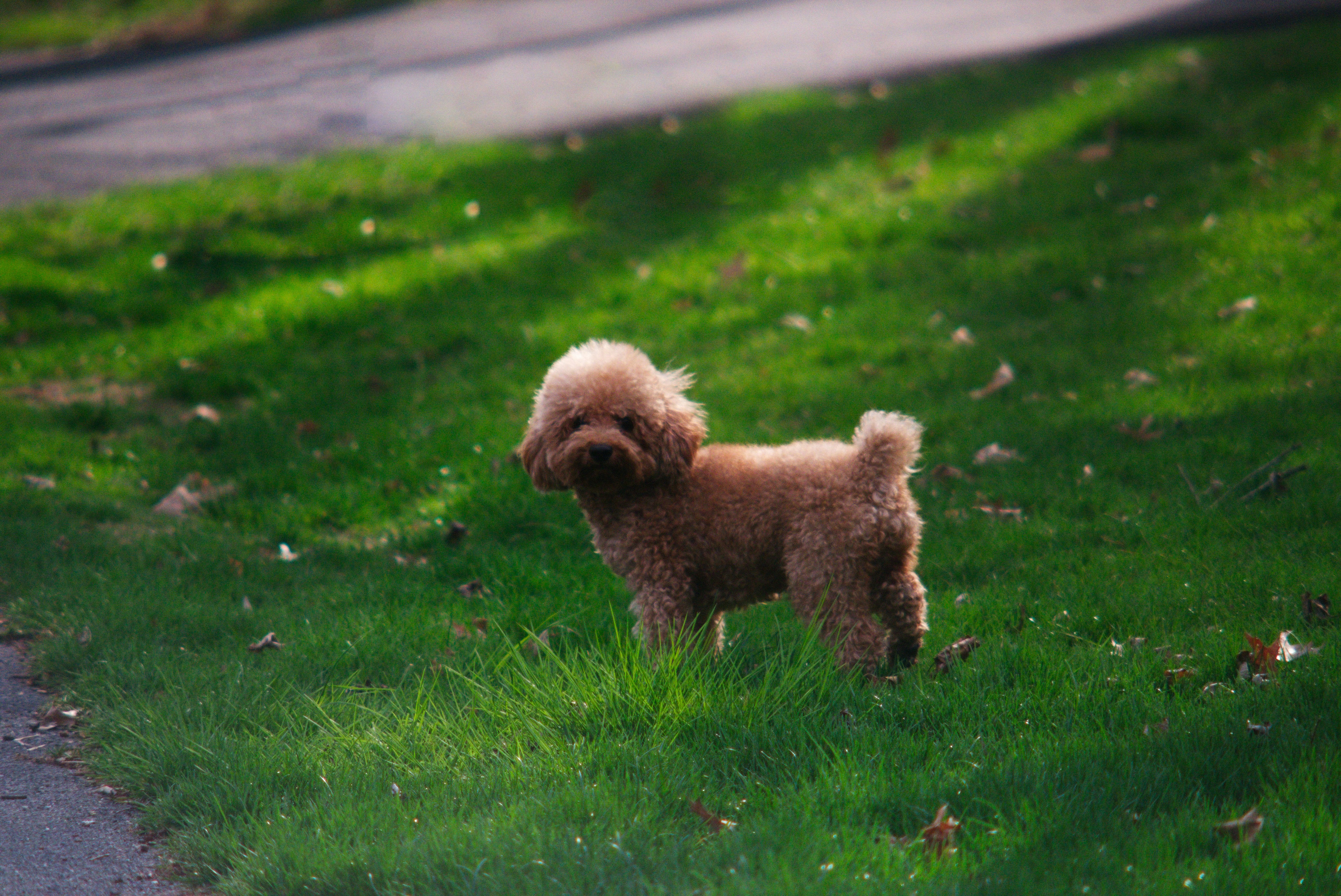 Photo by jhudsongraves