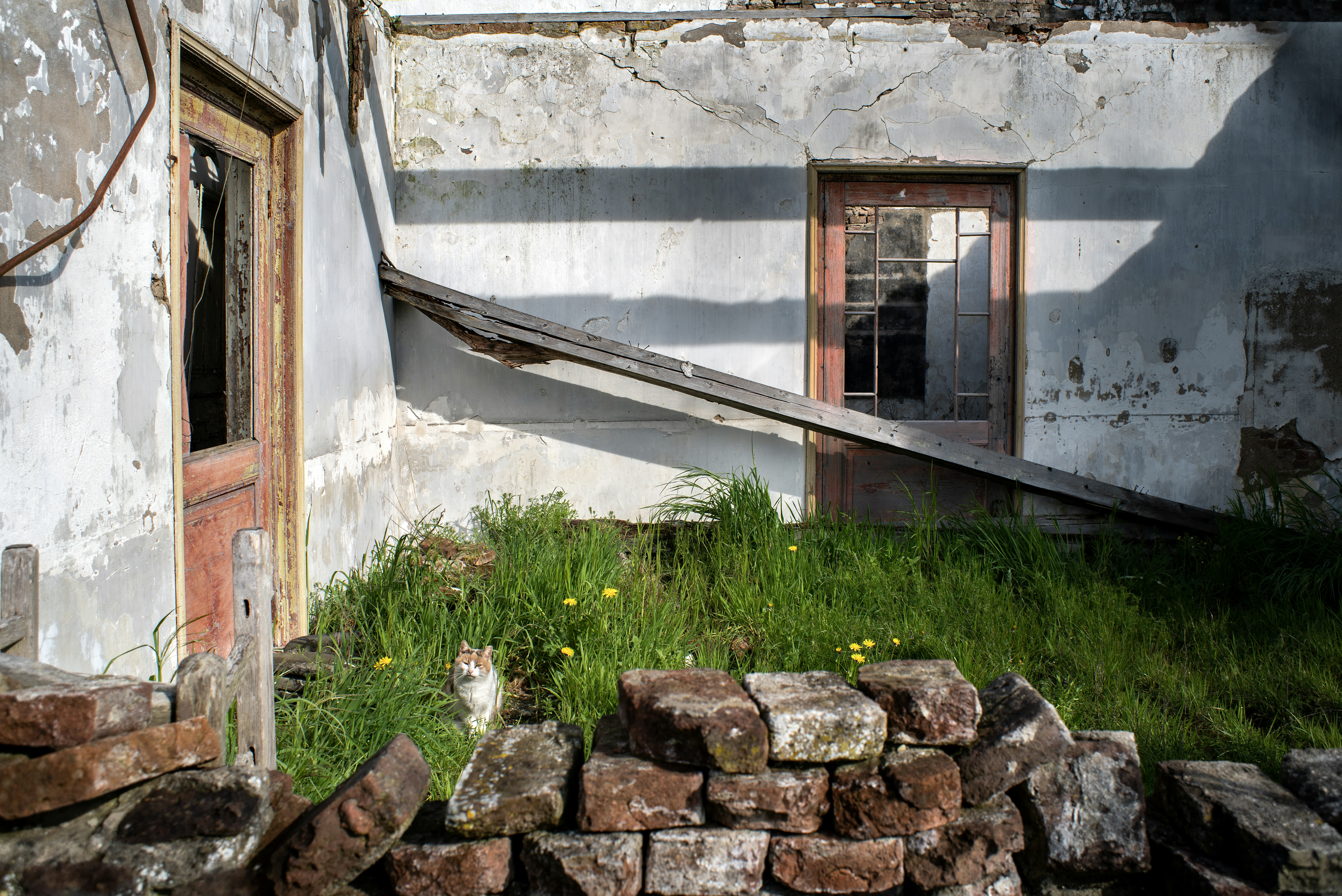 Photo by switch_dtp_fotografie